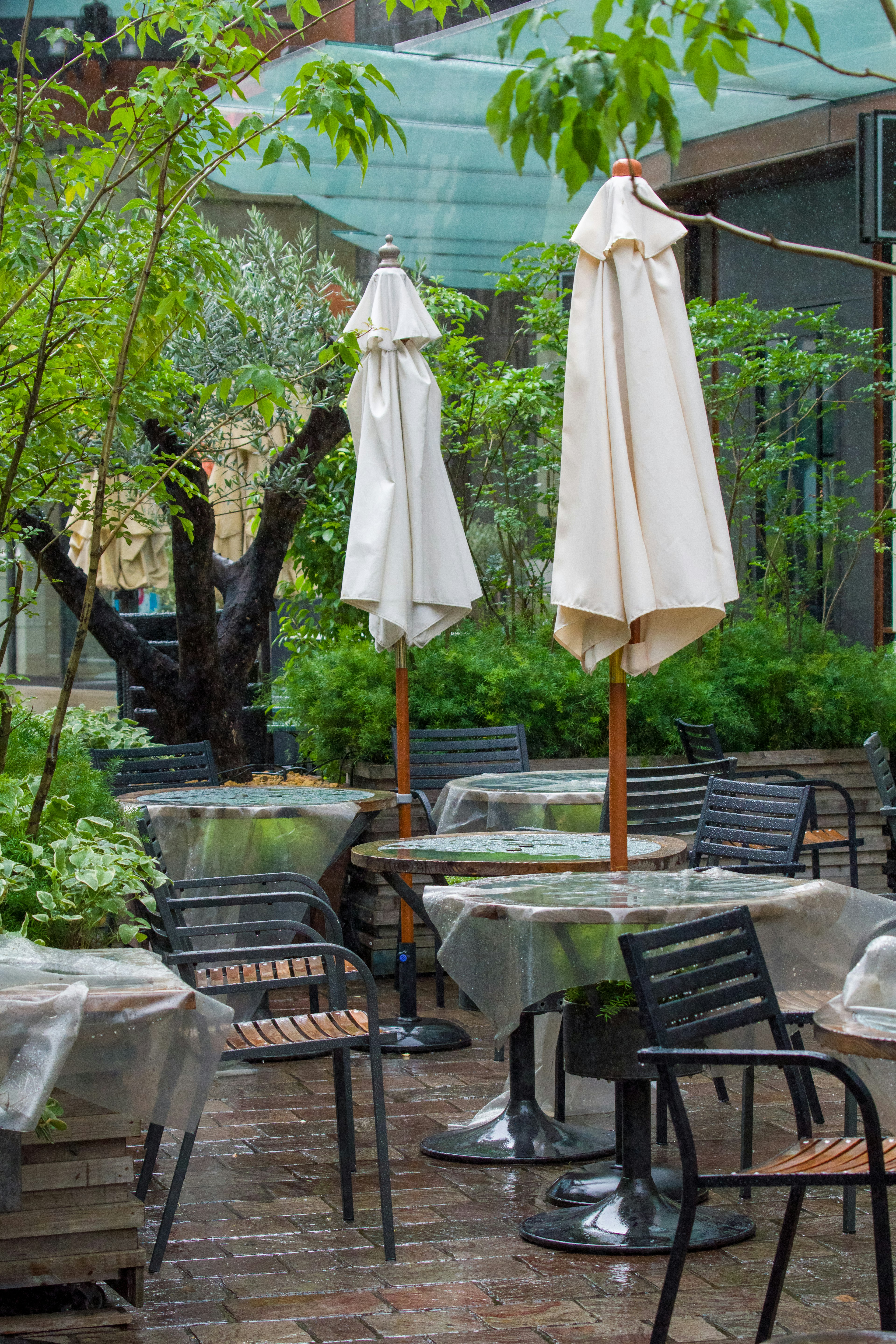 Terraza de café bajo la lluvia con paraguas blancos y plantas verdes