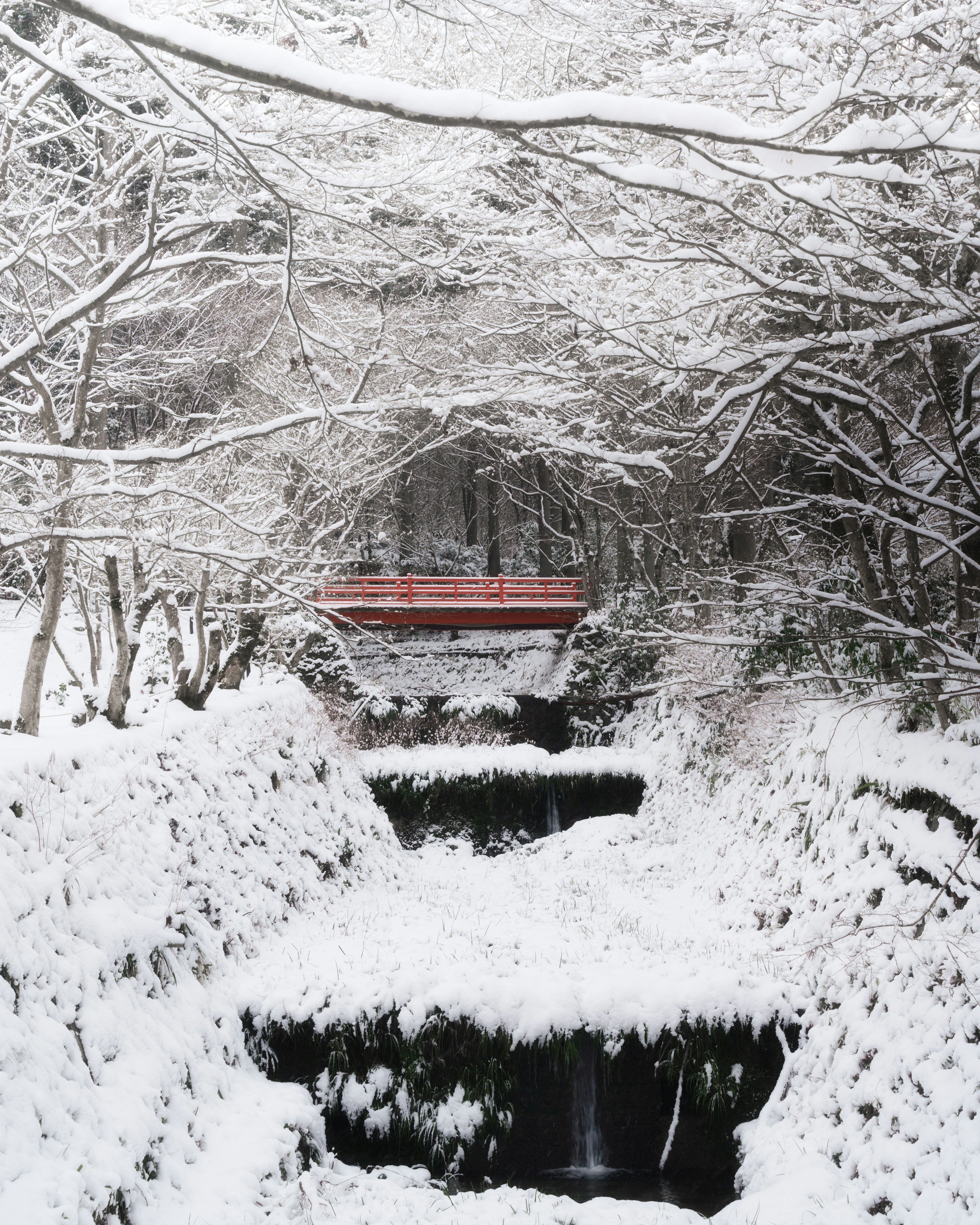 ทิวทัศน์ฤดูหนาวที่เงียบสงบพร้อมสะพานสีแดงเหนือกระแสน้ำที่ปกคลุมด้วยหิมะ