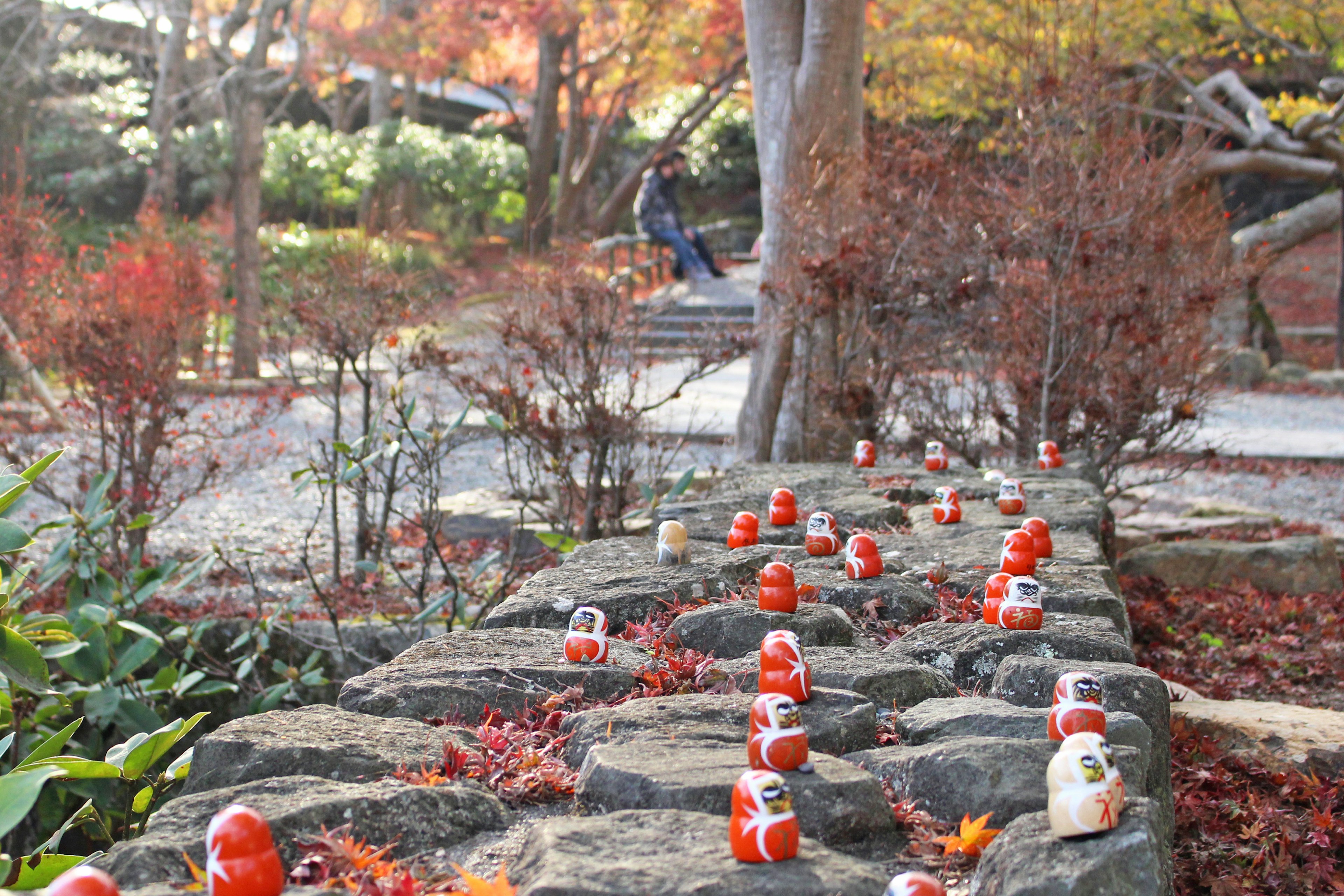 Weg gesäumt von roten Daruma-Puppen und herbstlichem Laub