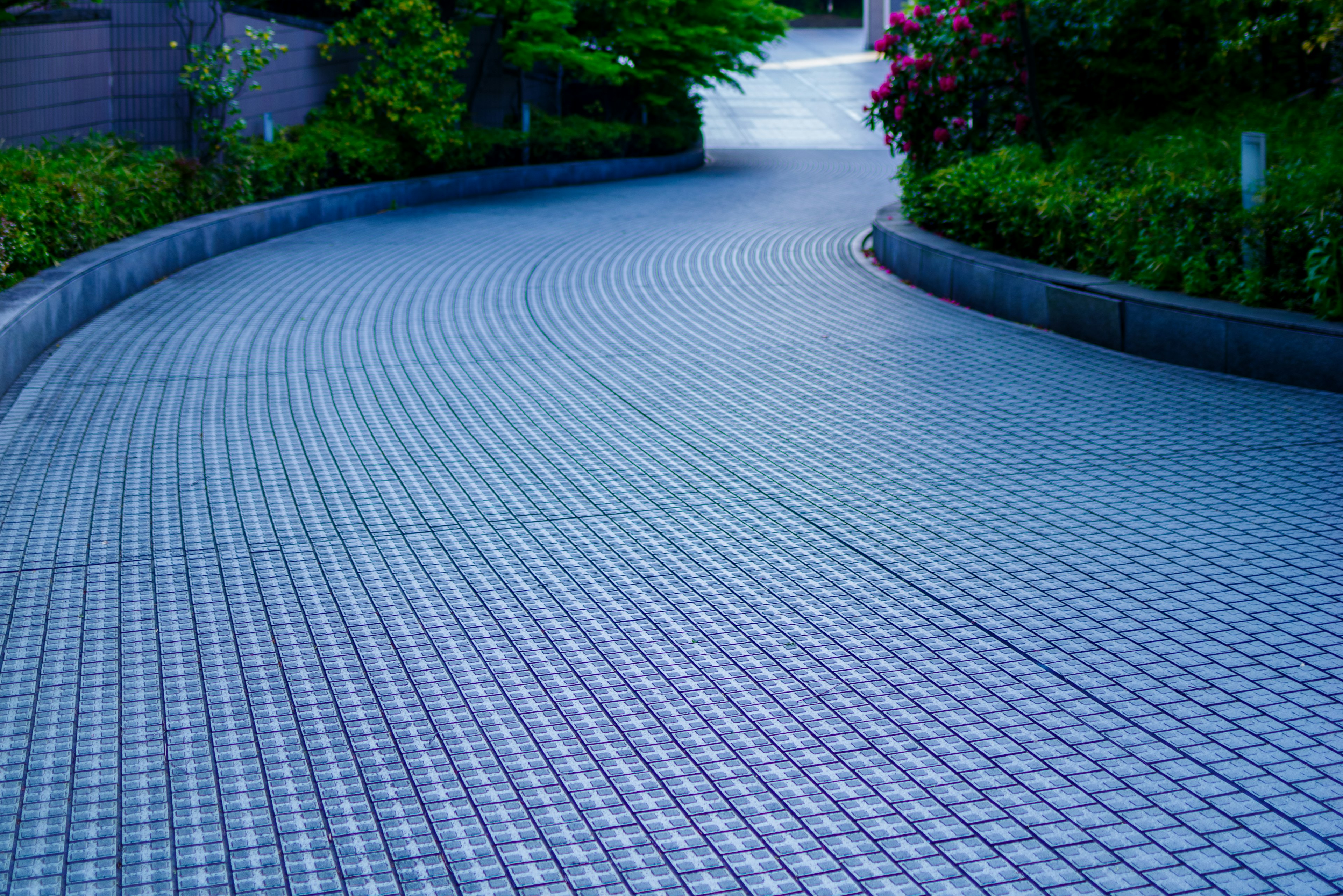 Camino pavimentado curvado con vegetación y flores