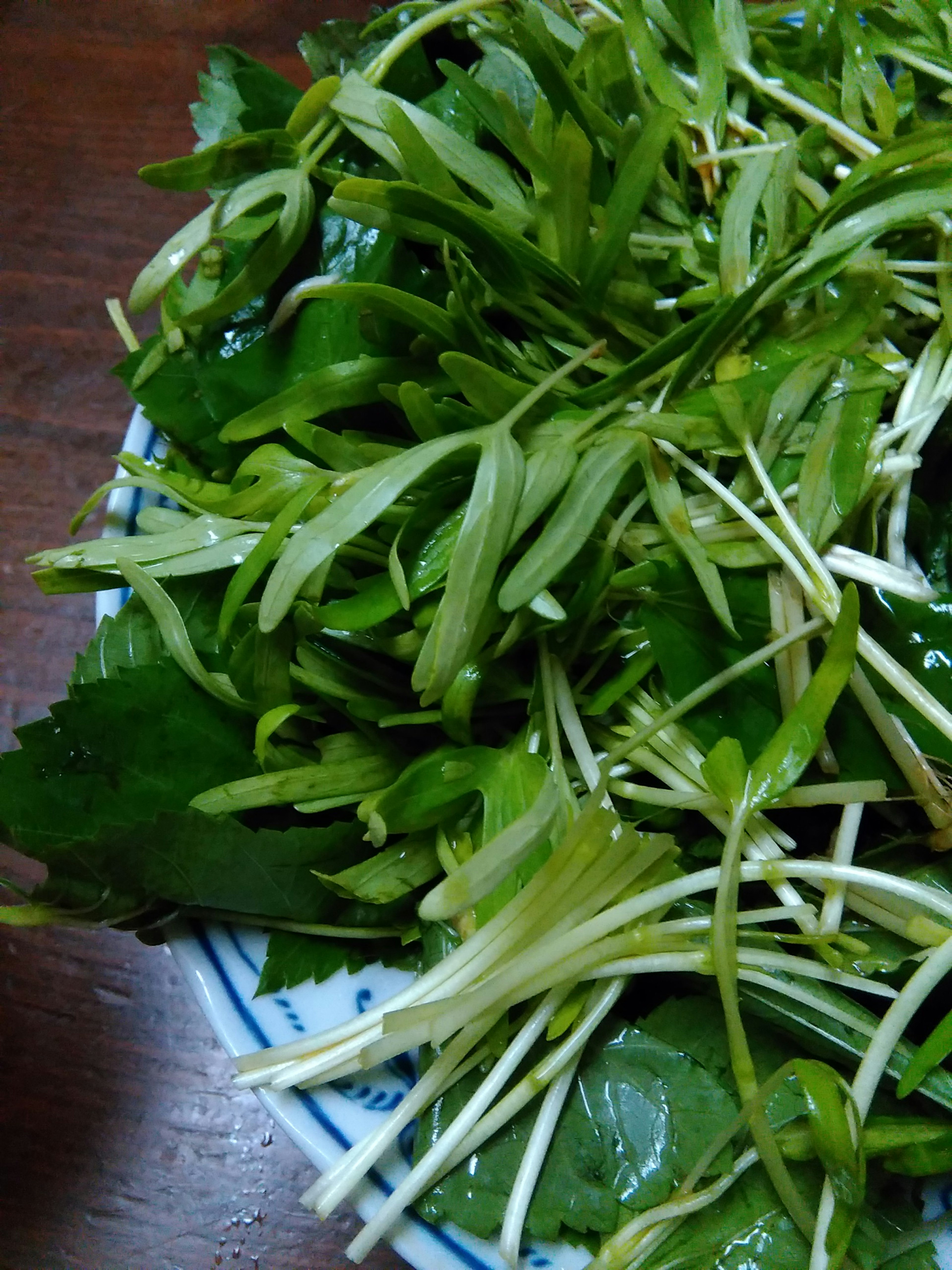 Assortiment frais de légumes verts