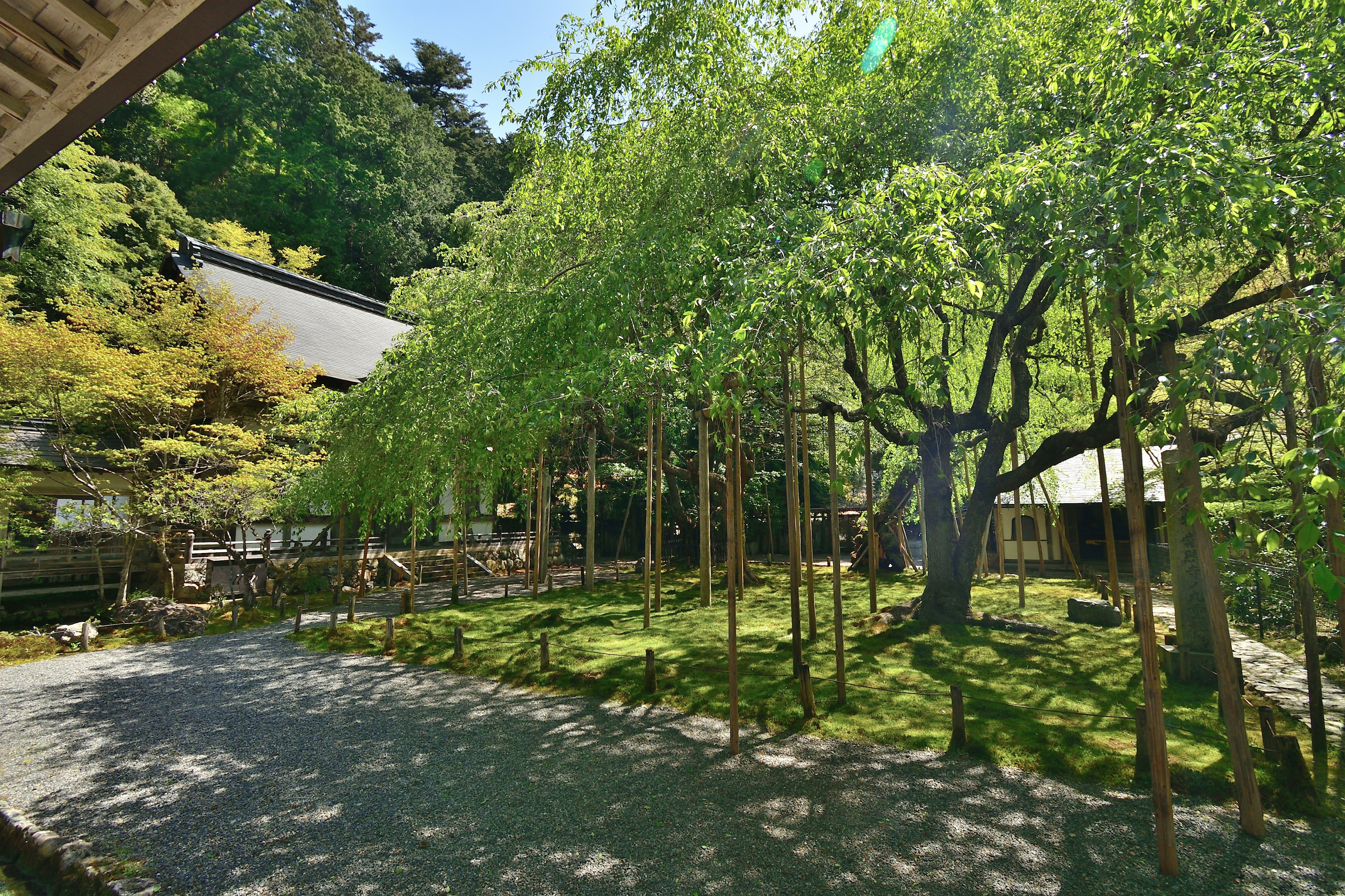 Vista escénica de un edificio japonés tradicional rodeado de vegetación exuberante