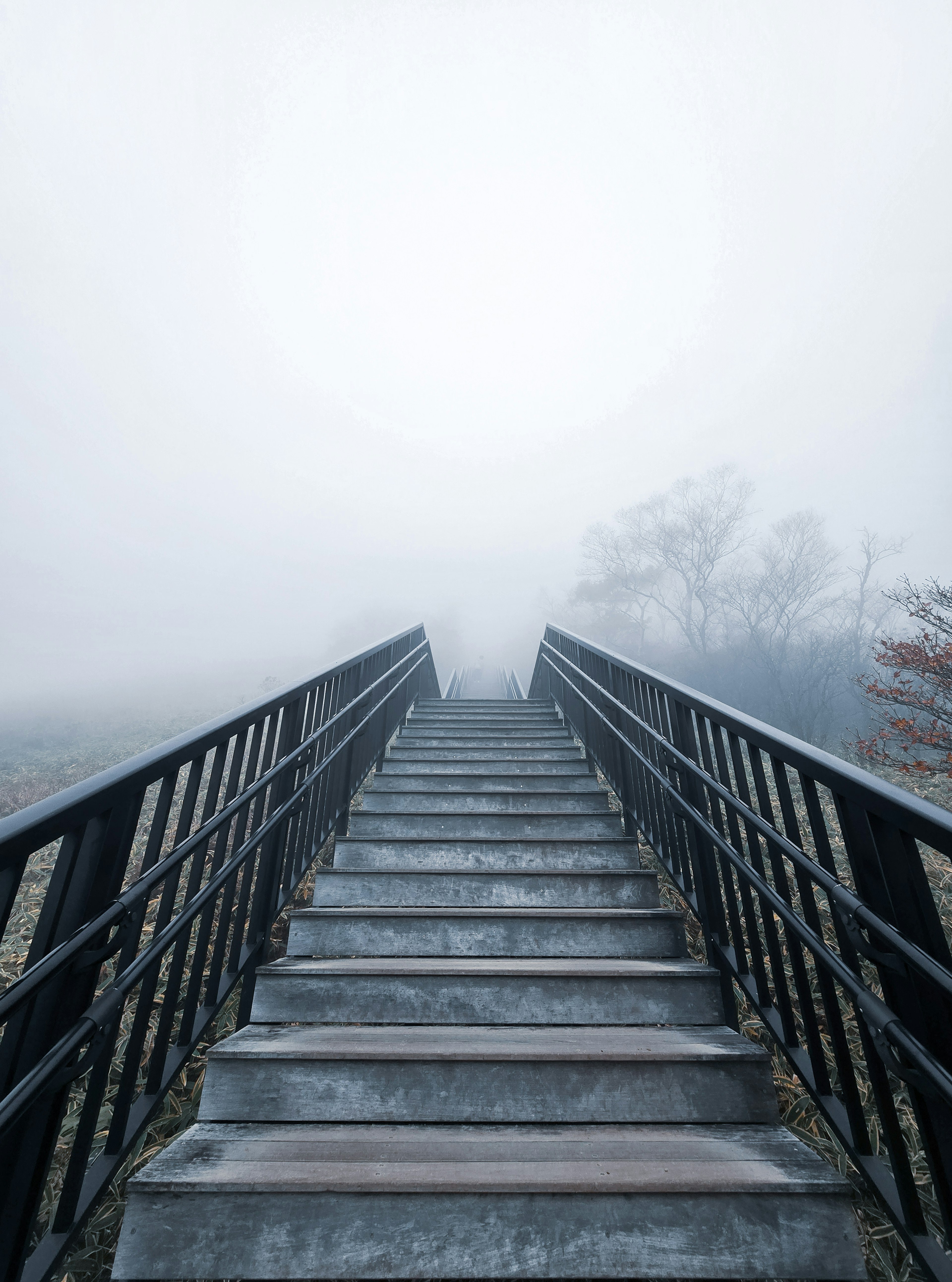 Metalltreppen, die in den Nebel führen