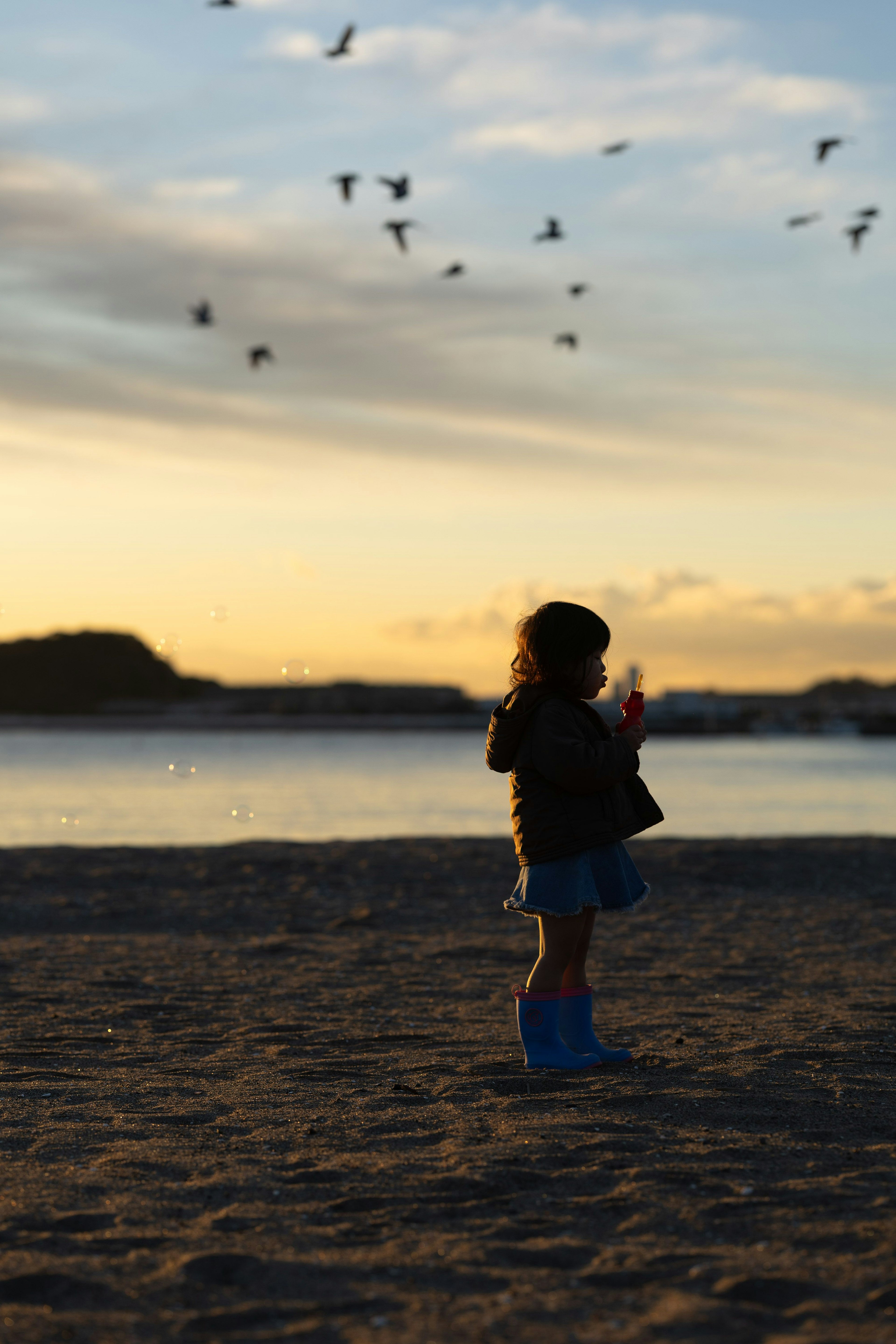 夕焼けの海辺に立つ子供のシルエット 鳥が飛んでいる