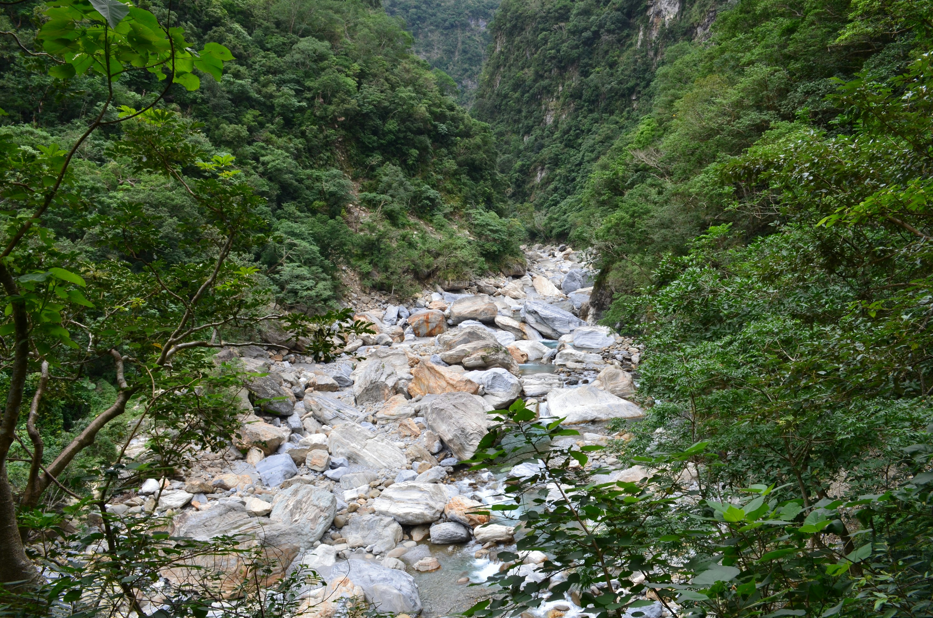 一条河流穿过郁郁葱葱的山谷和岩石