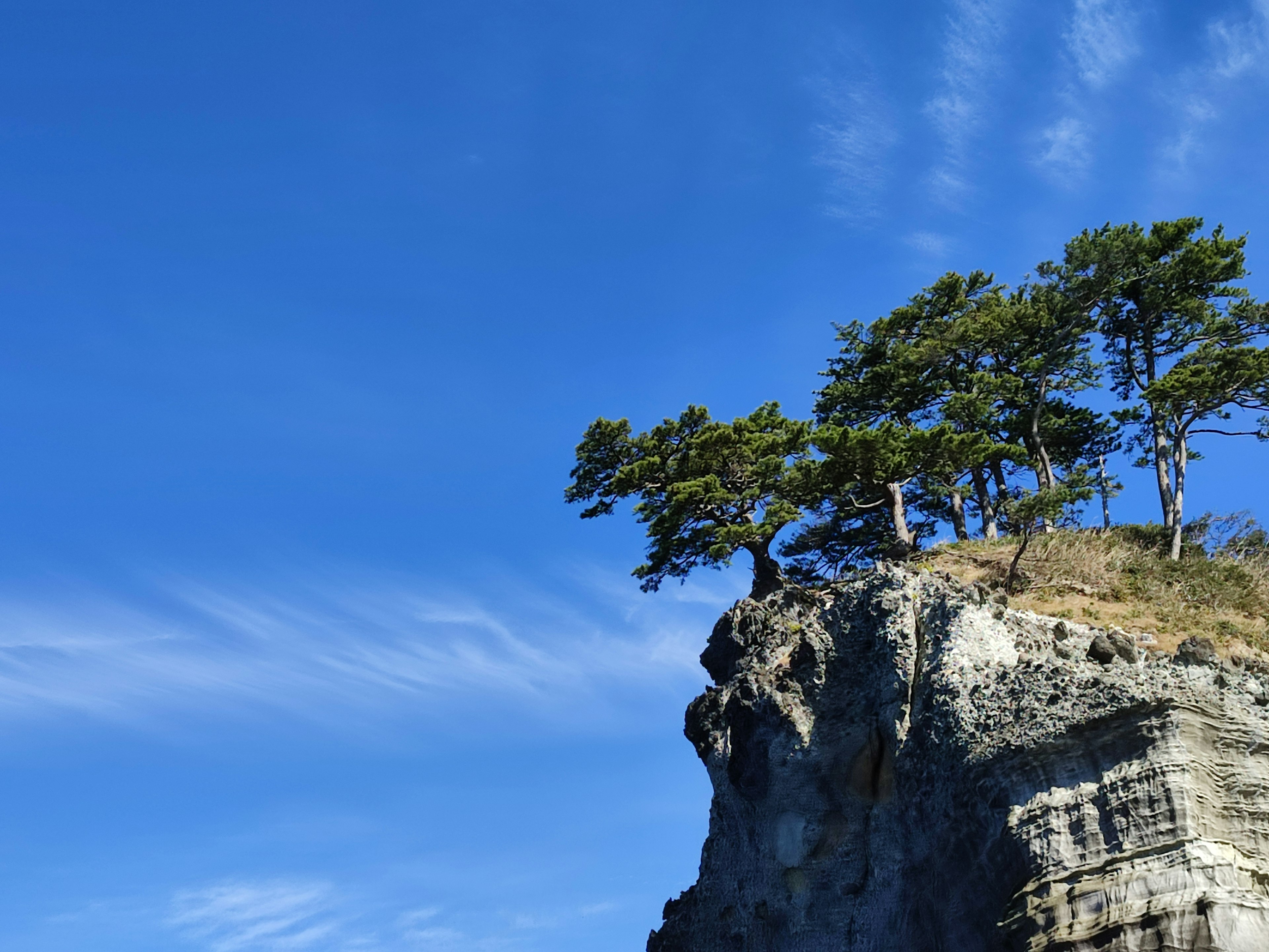 Scenic view of trees on a cliff under a blue sky