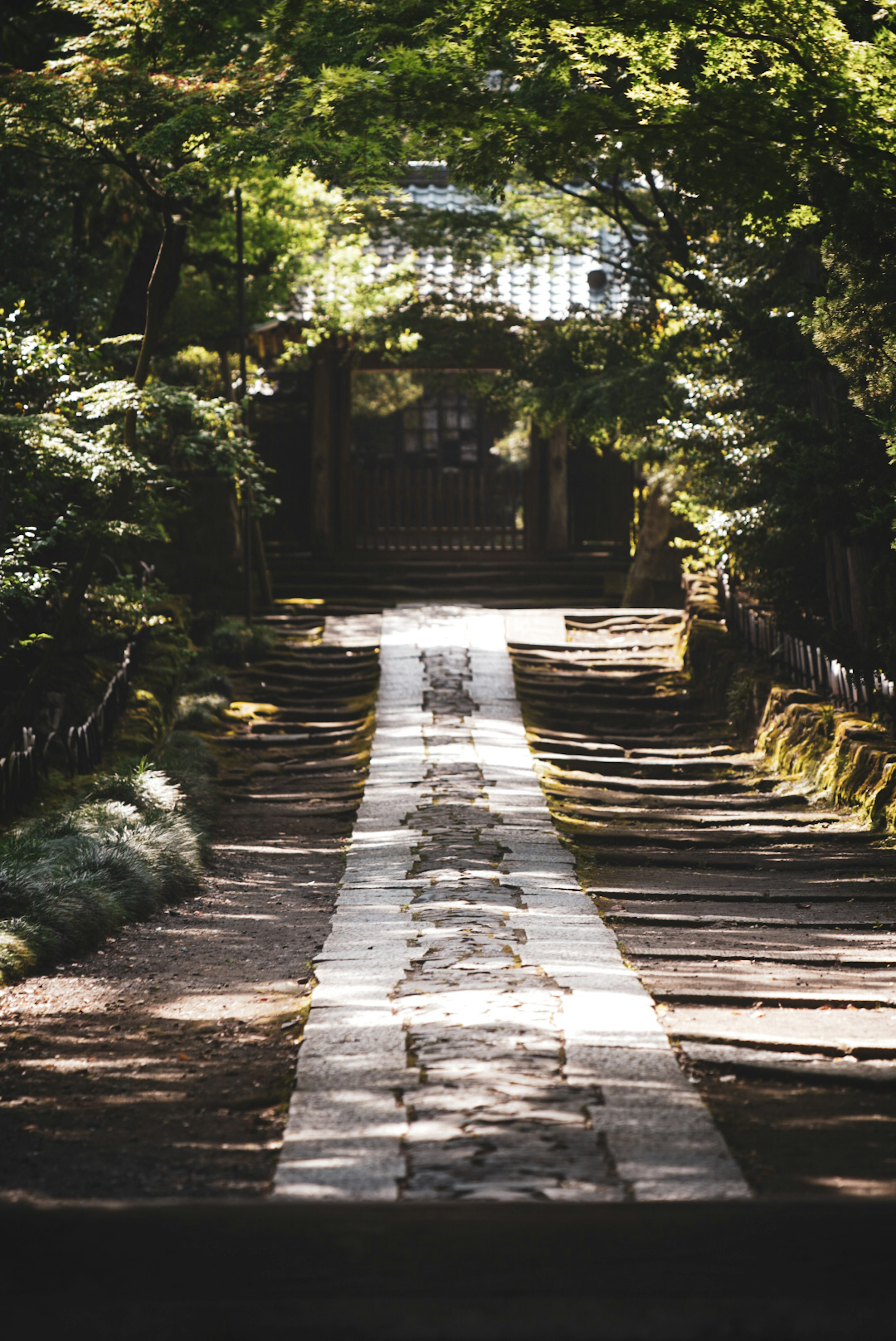 Stone pathway surrounded by green trees leading to a gate