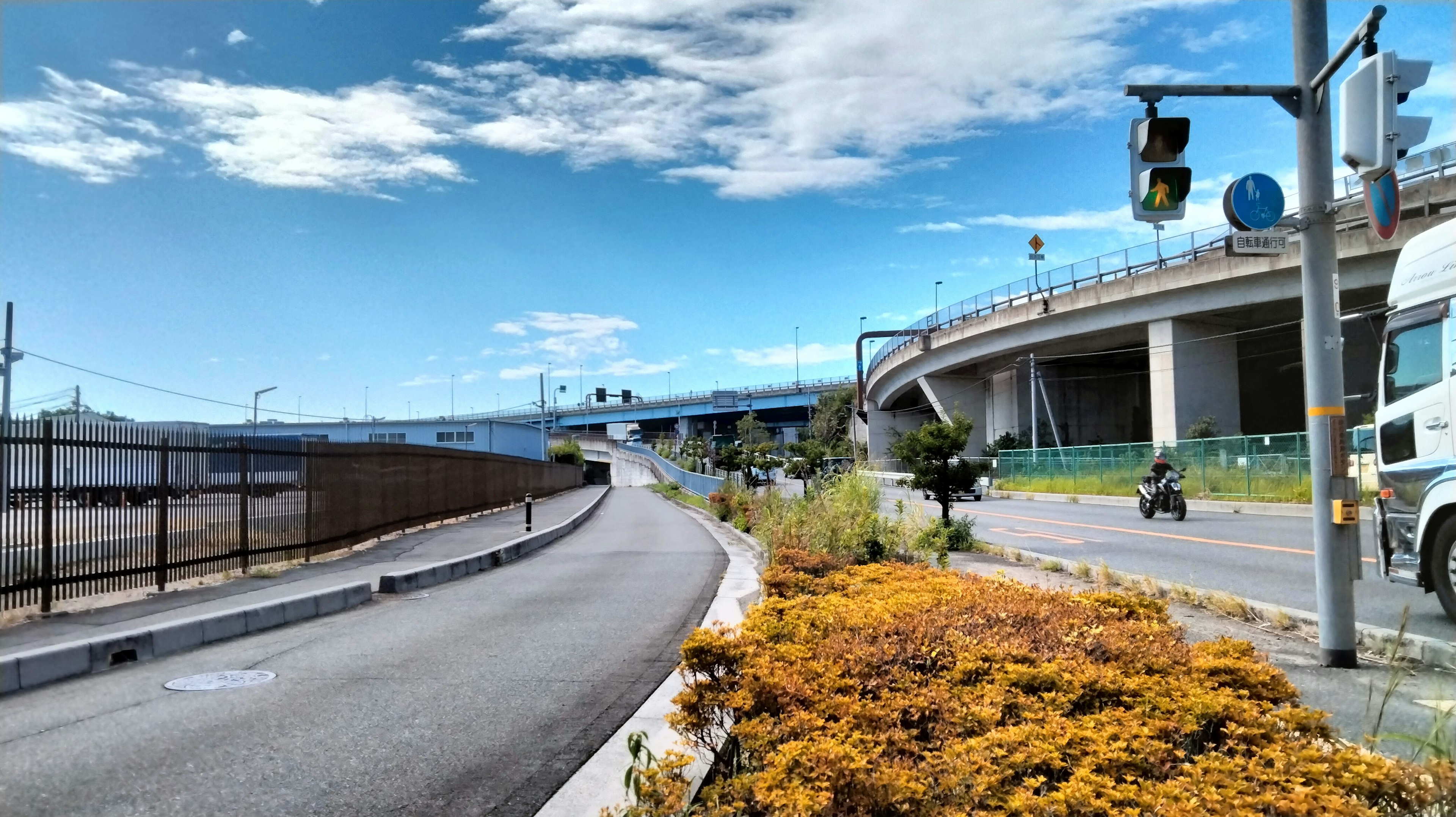 ทัศนียภาพถนนและสะพานสูงใต้ท้องฟ้าสีฟ้าพร้อมดอกไม้สีเหลืองในหญ้า