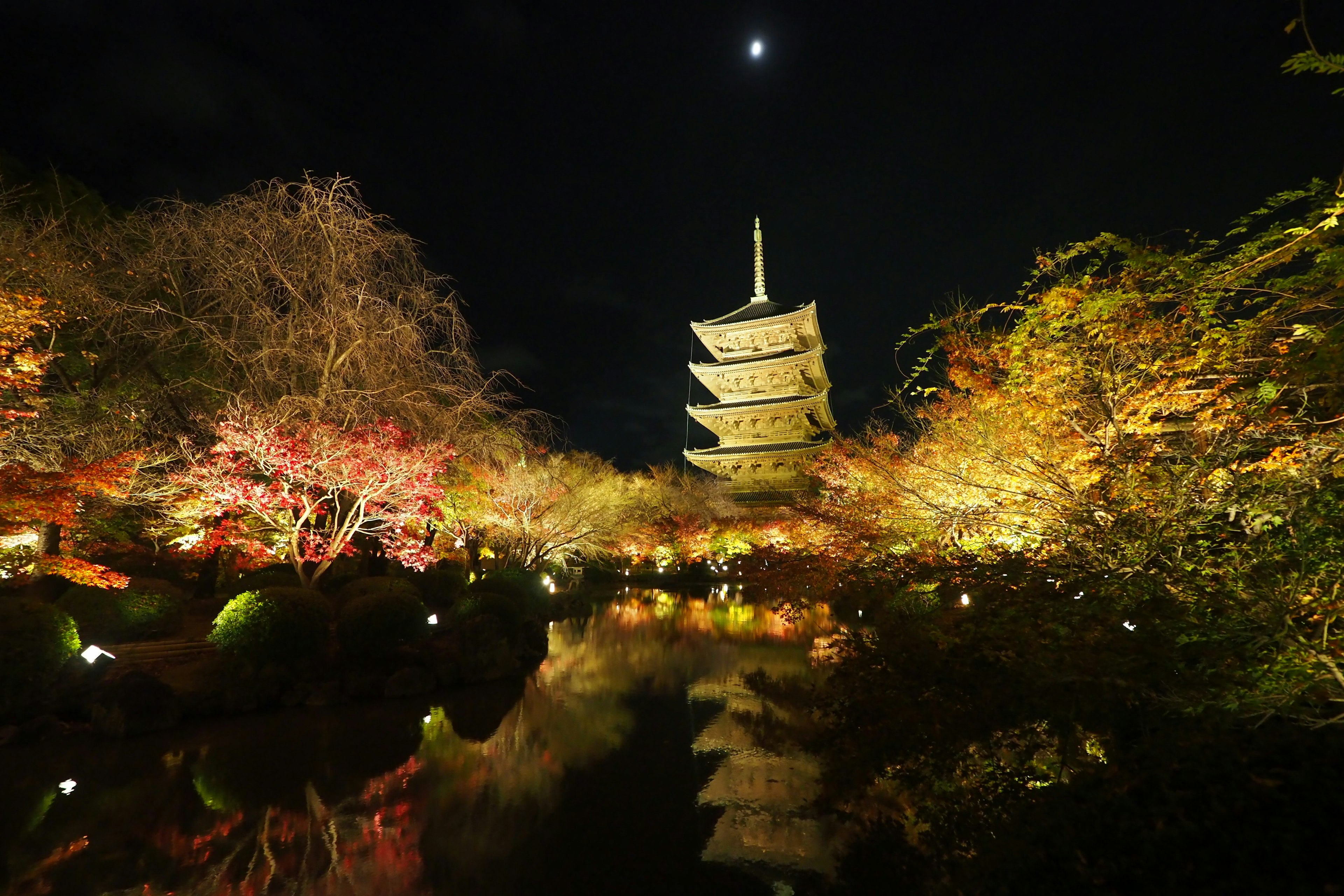 Un hermoso paisaje de una pagoda y árboles coloridos iluminados por la noche