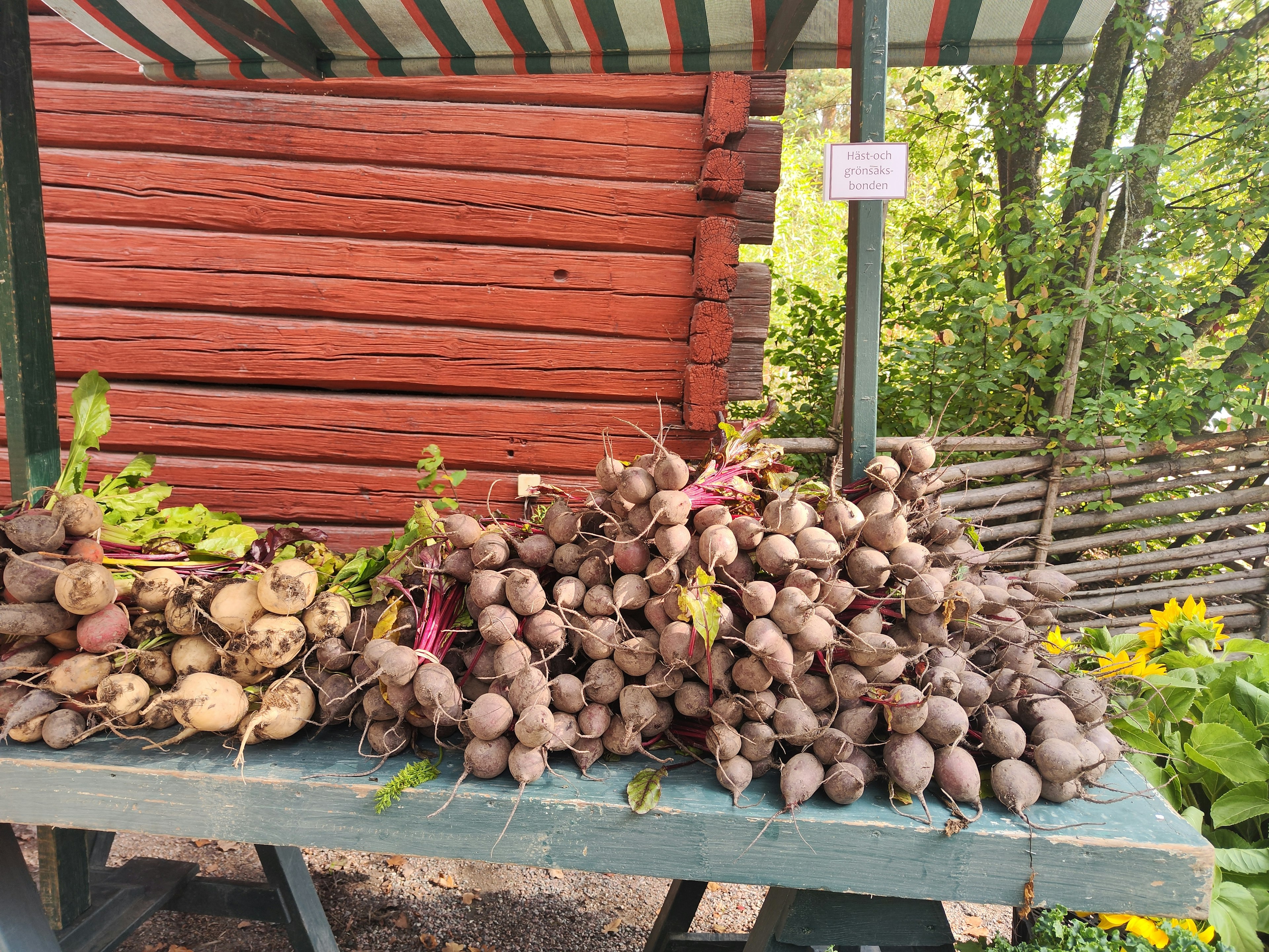 A market table displaying bundles of purple beets