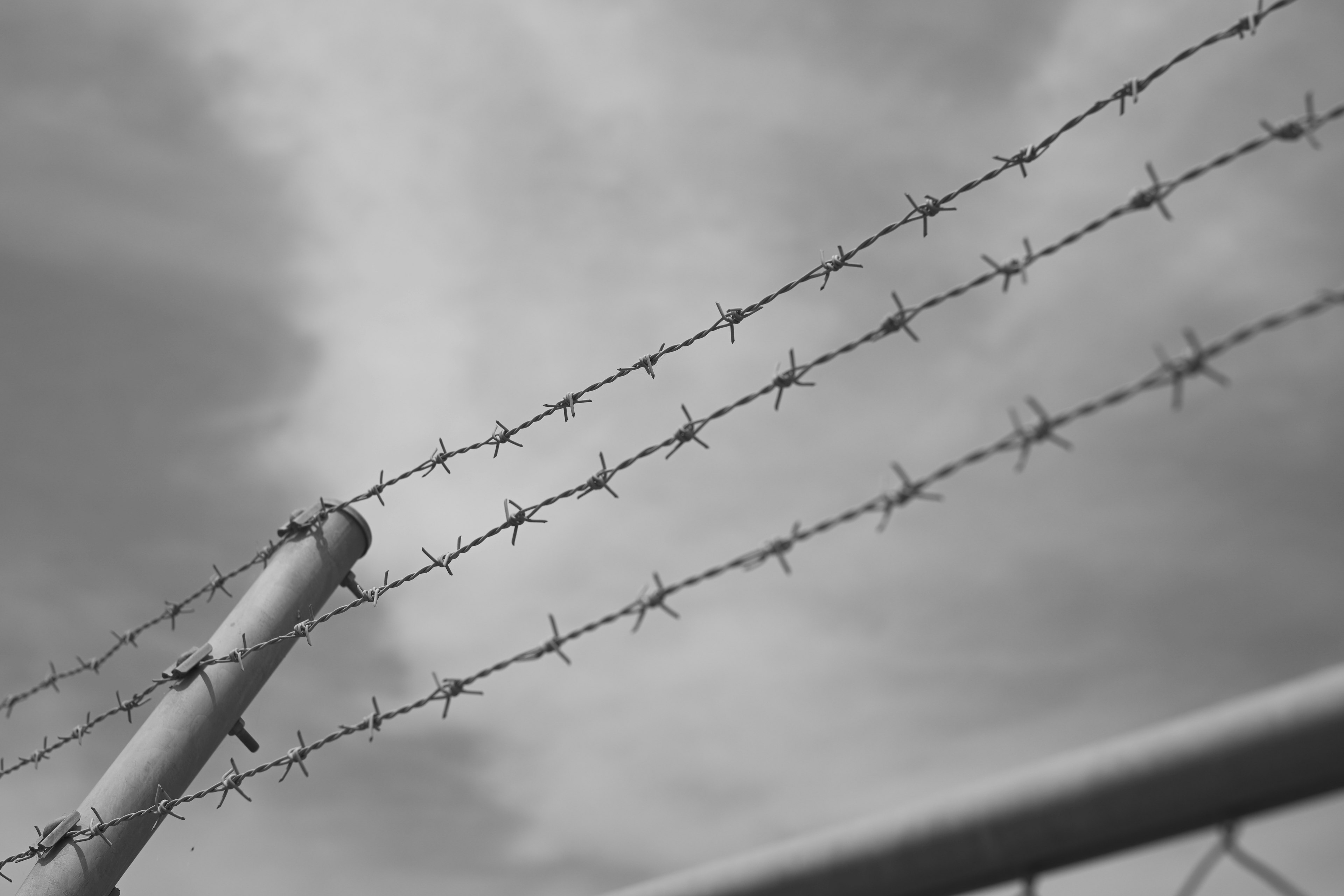 Close-up of barbed wire and metal pipe in black and white