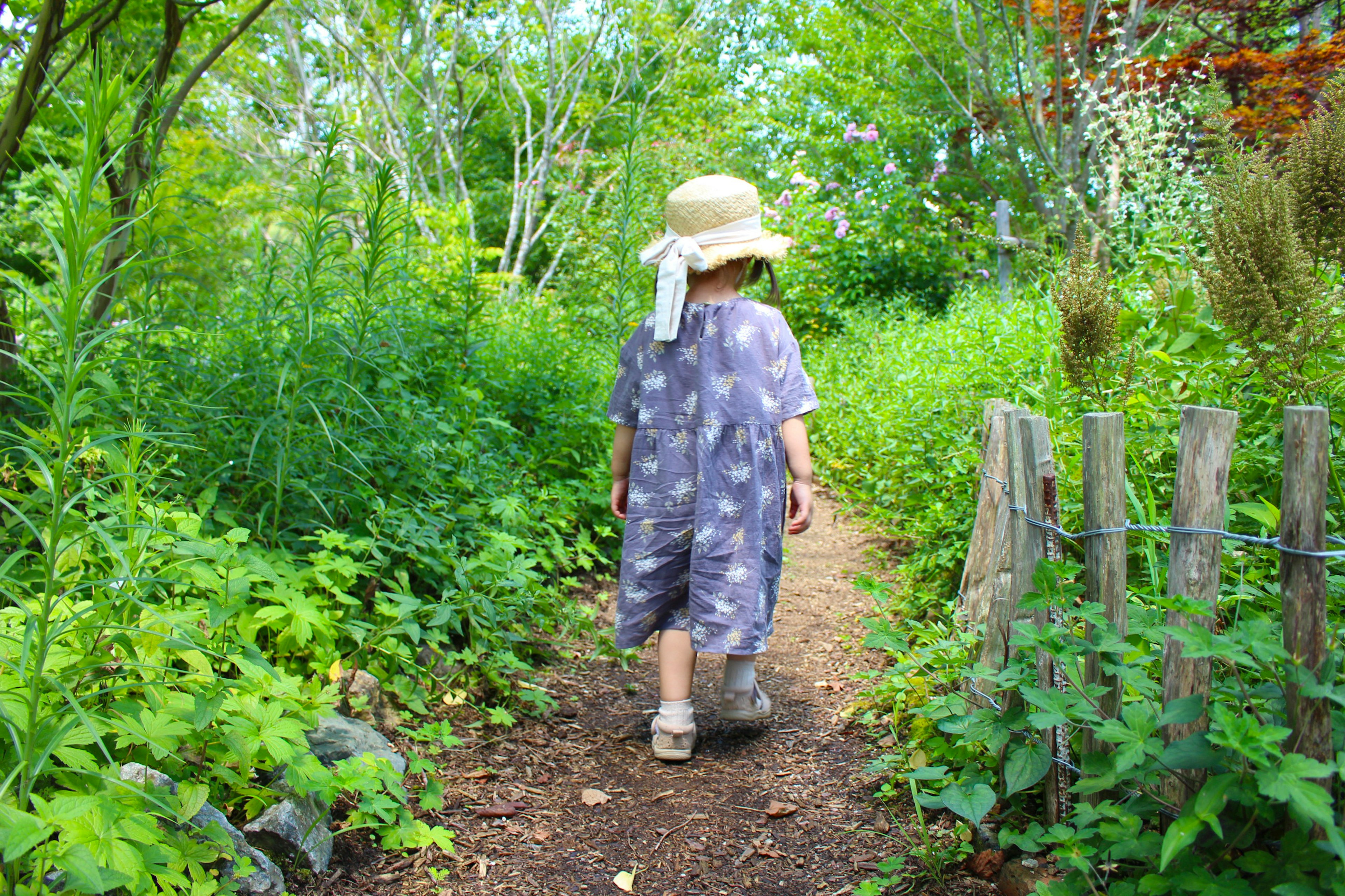 子供が帽子をかぶり、緑の道を歩いている風景