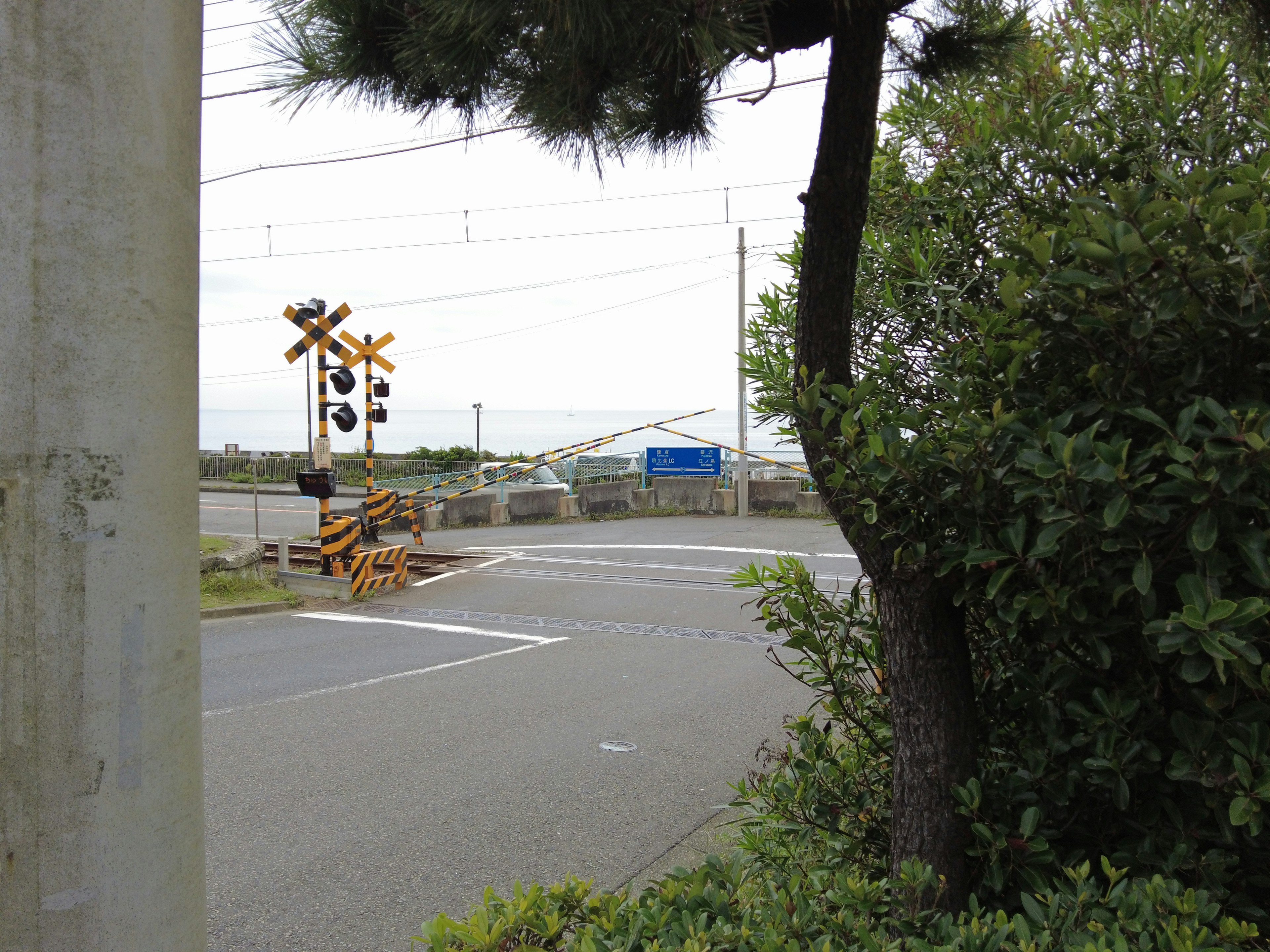 Railroad crossing signal at a road intersection with surrounding greenery