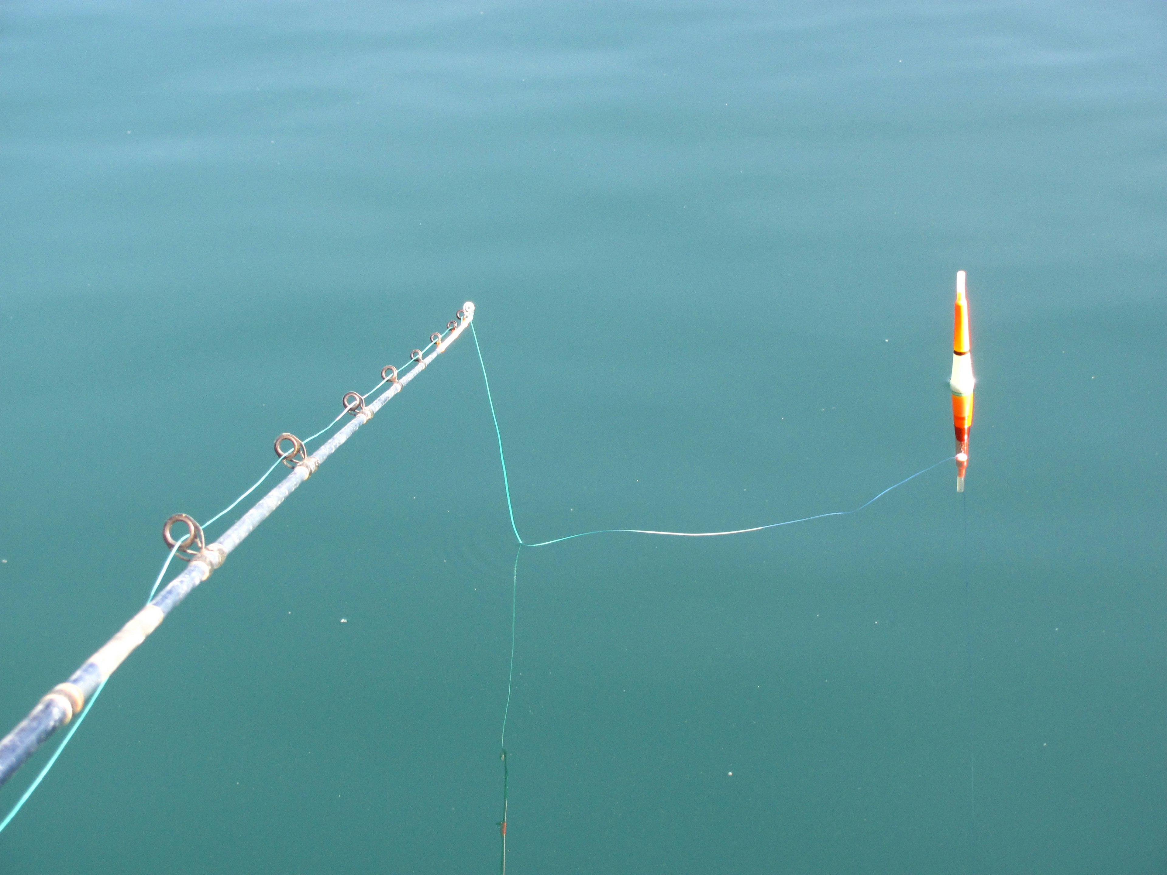 Canne à pêche avec un flotteur flottant à la surface de l'eau