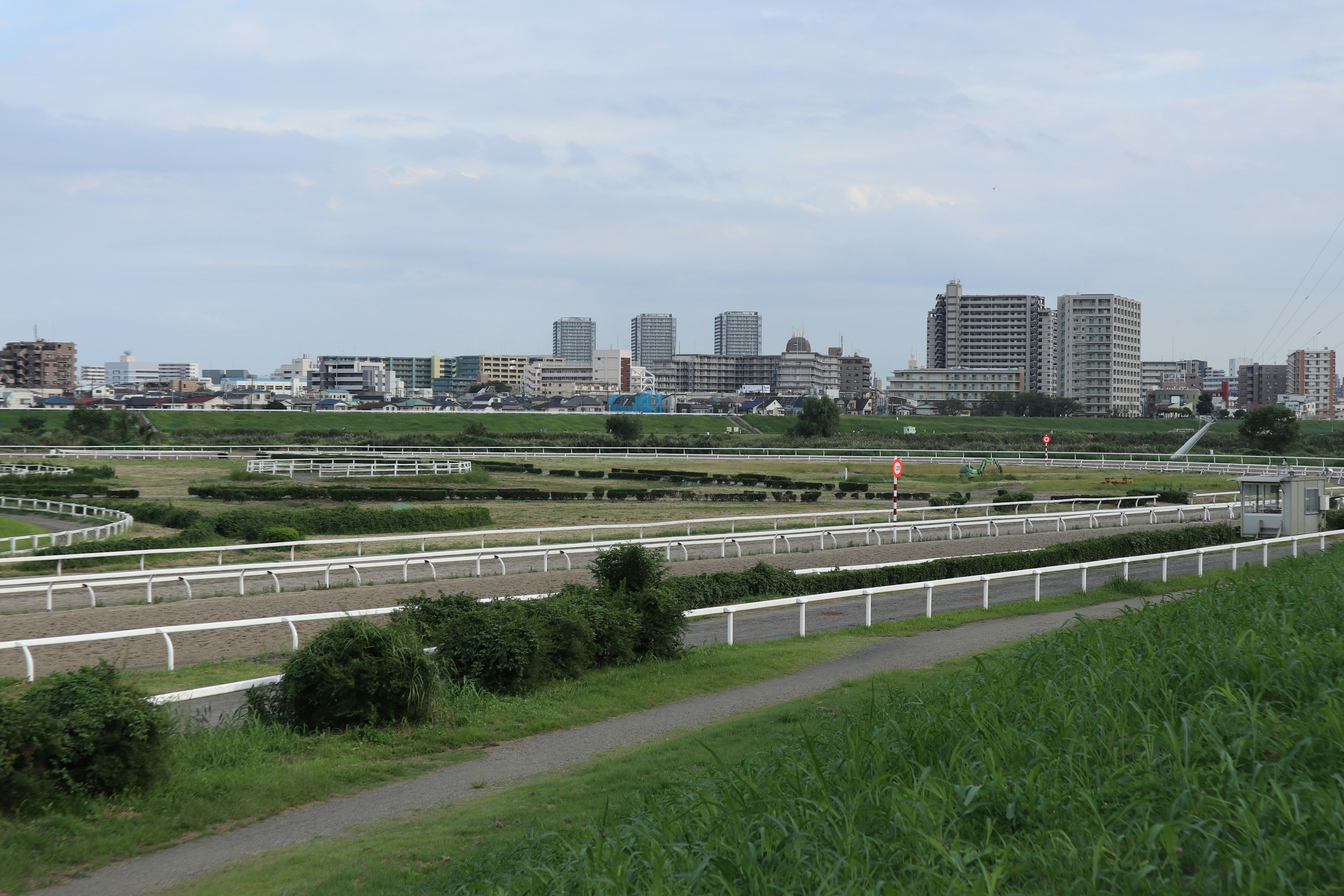 Vue d'un hippodrome et du skyline urbain avec de la verdure