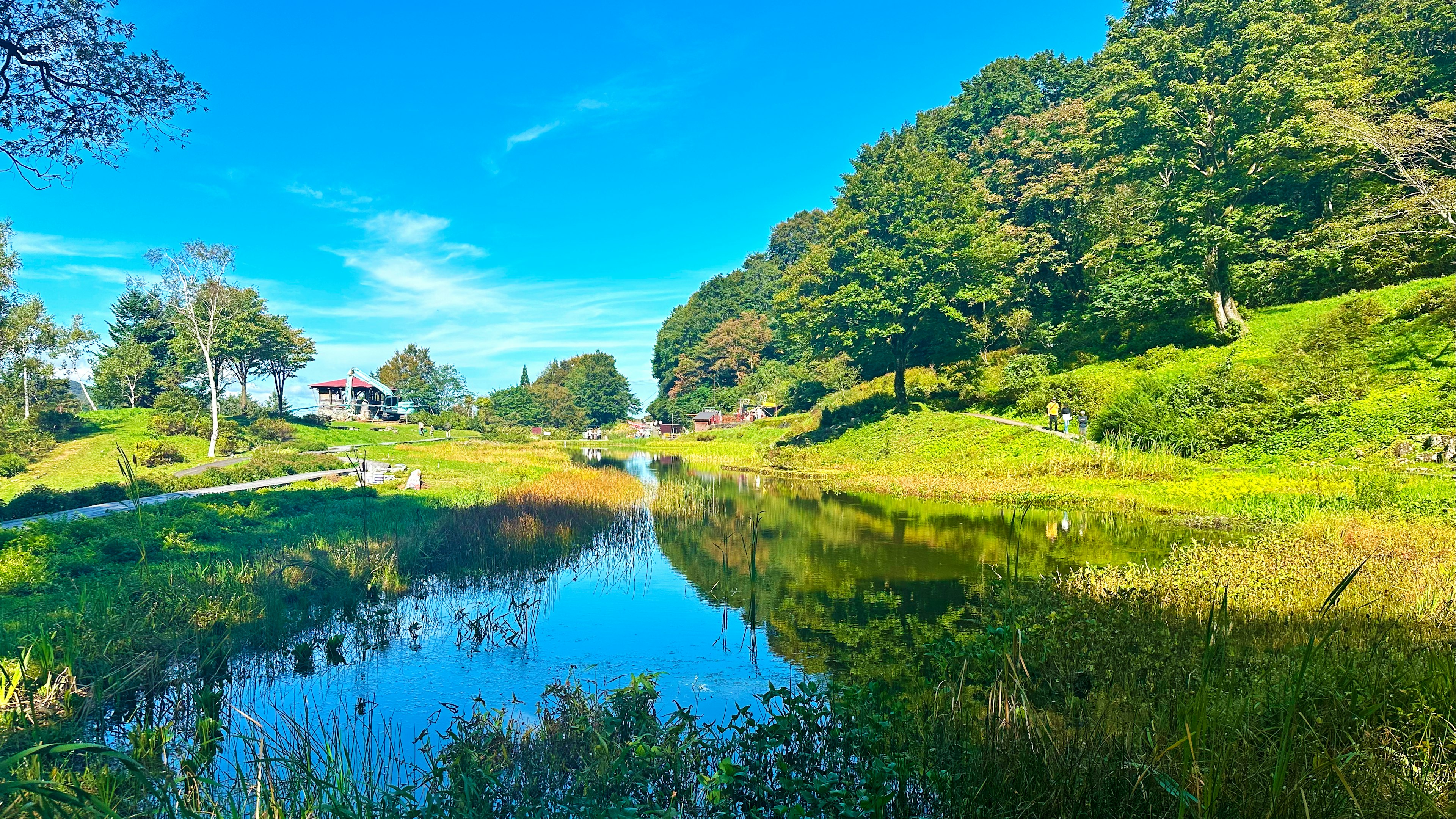 Üppige grüne Landschaft mit einem ruhigen Teich unter einem blauen Himmel