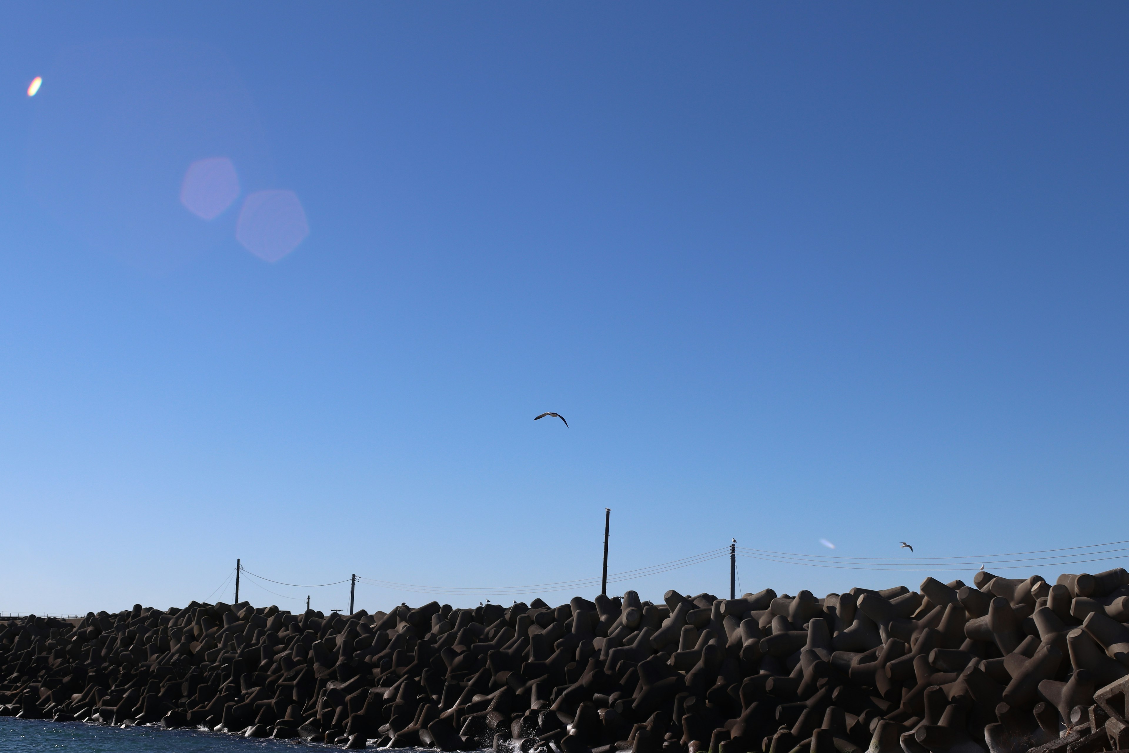 Rompeolas y gaviota contra un cielo azul claro y el mar