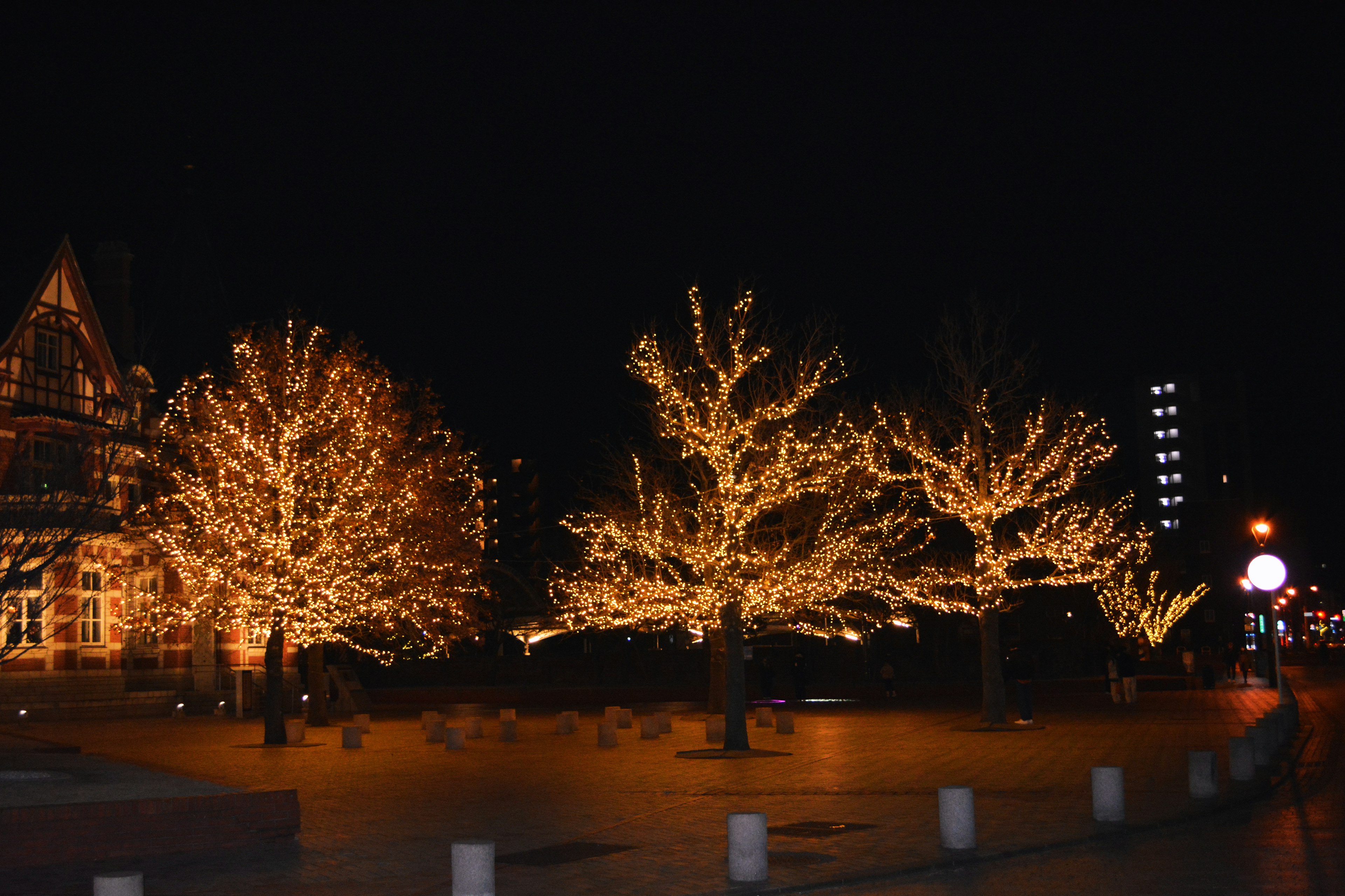 Árboles iluminados por la noche en una calle de la ciudad con una atmósfera tranquila