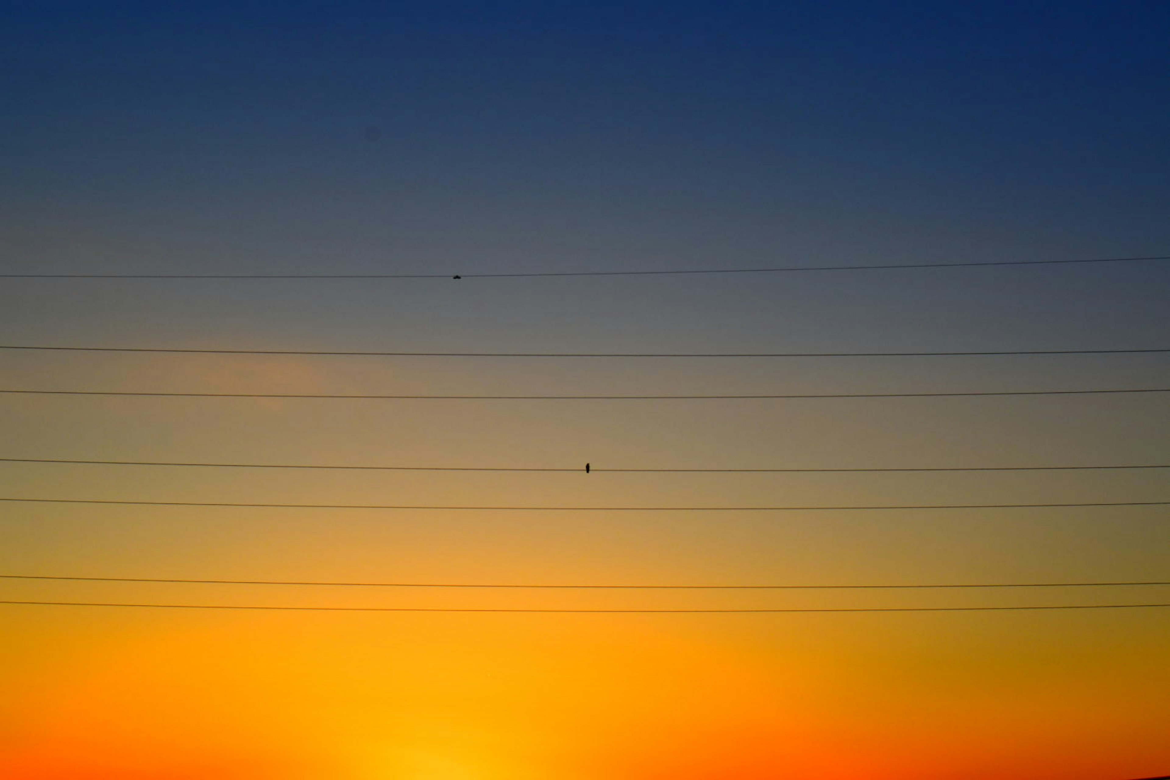 Beautiful gradient of sunset colors with power lines in the sky