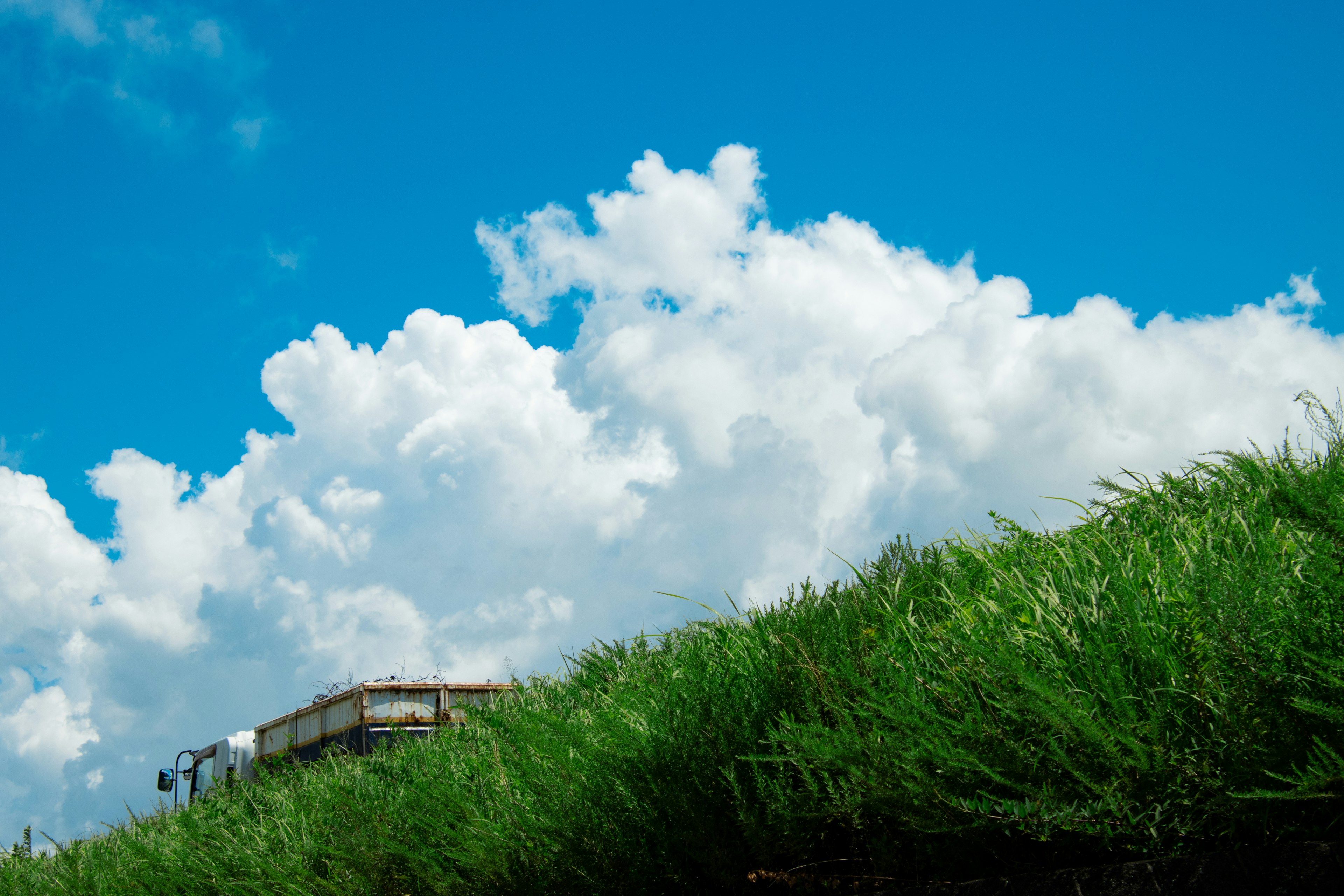 青空と白い雲、緑の草が広がる風景