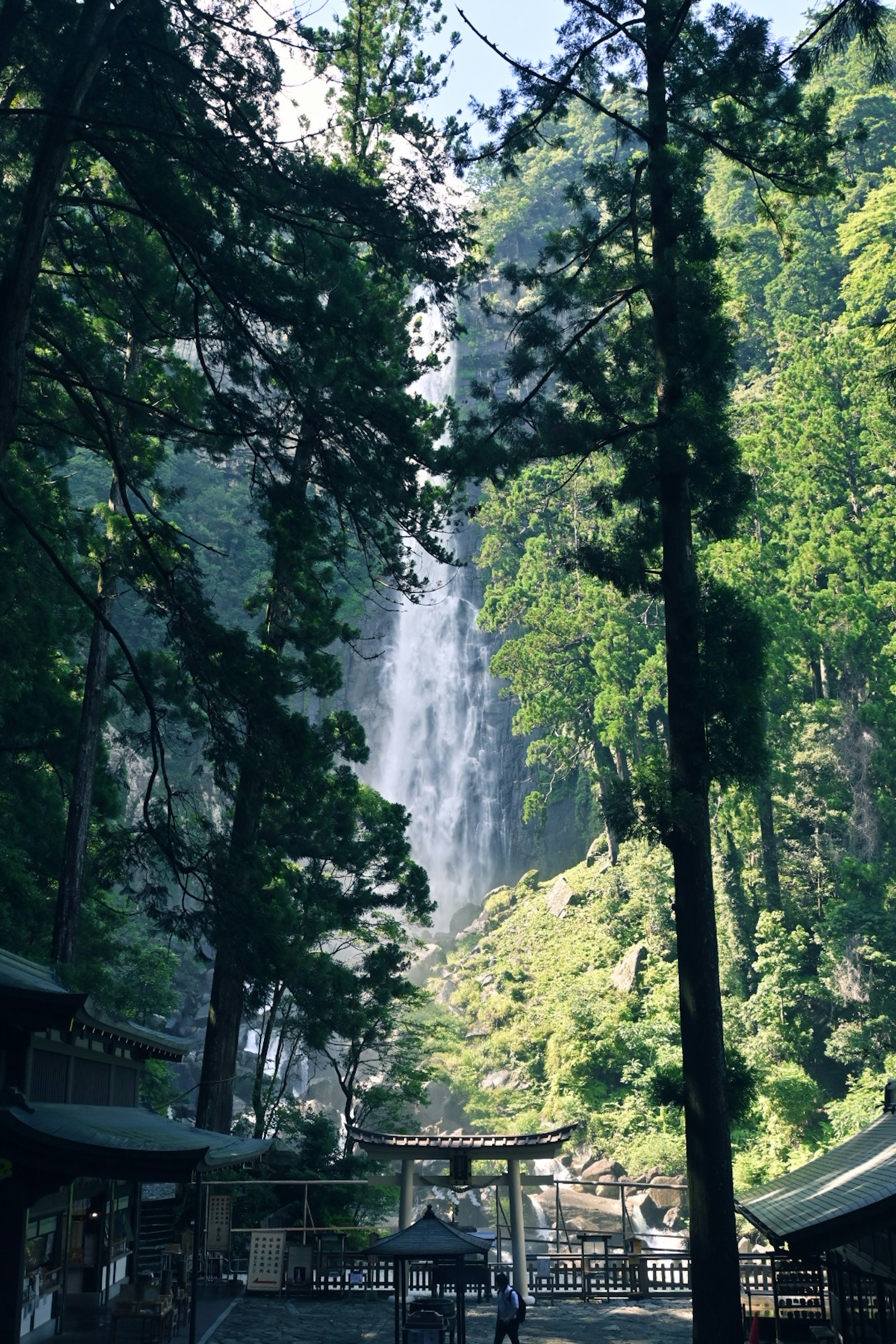 Air terjun dikelilingi pohon-pohon tinggi di hutan lebat