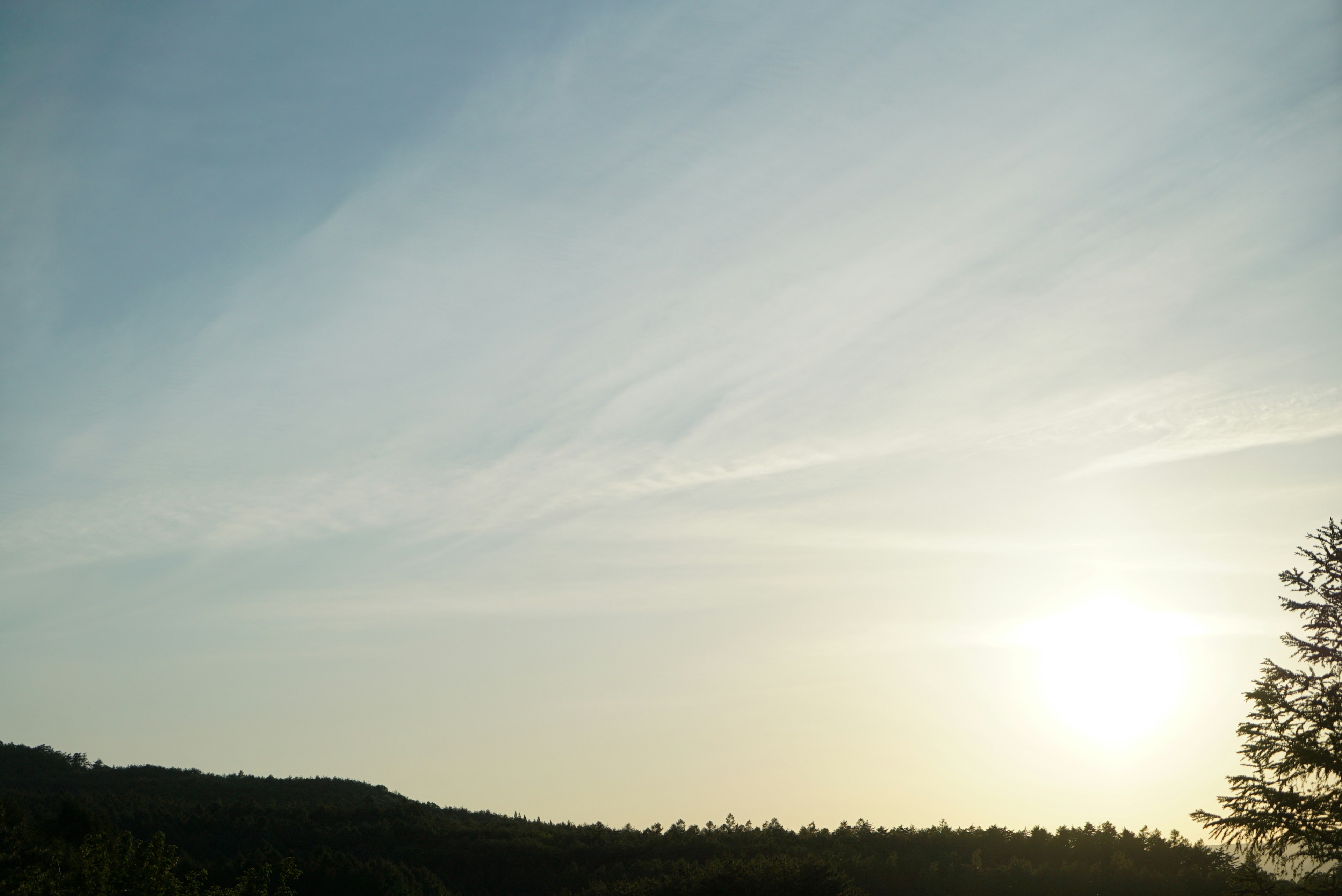 青空と夕日が見える風景と木々のシルエット