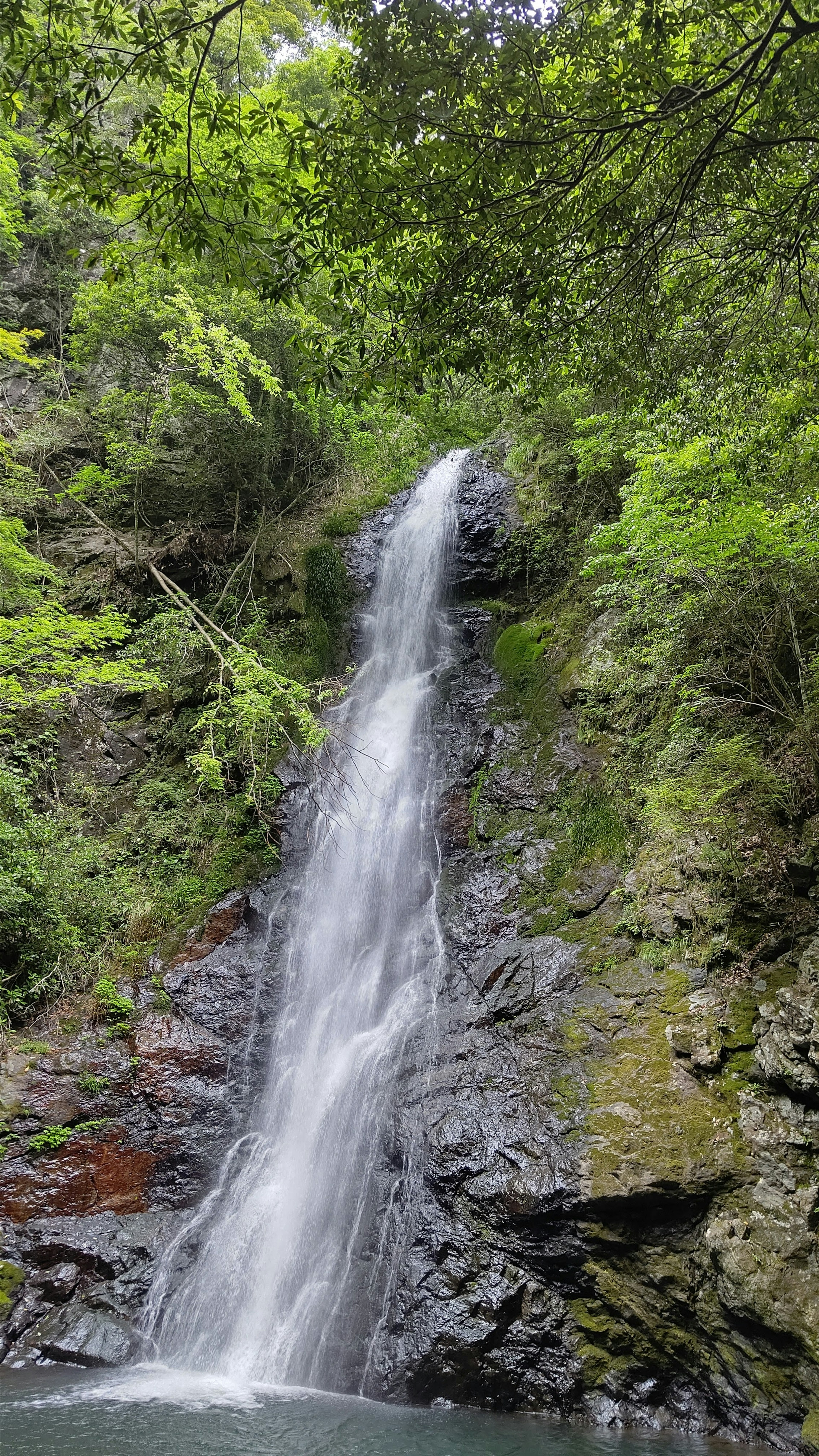 Beautiful waterfall surrounded by lush greenery