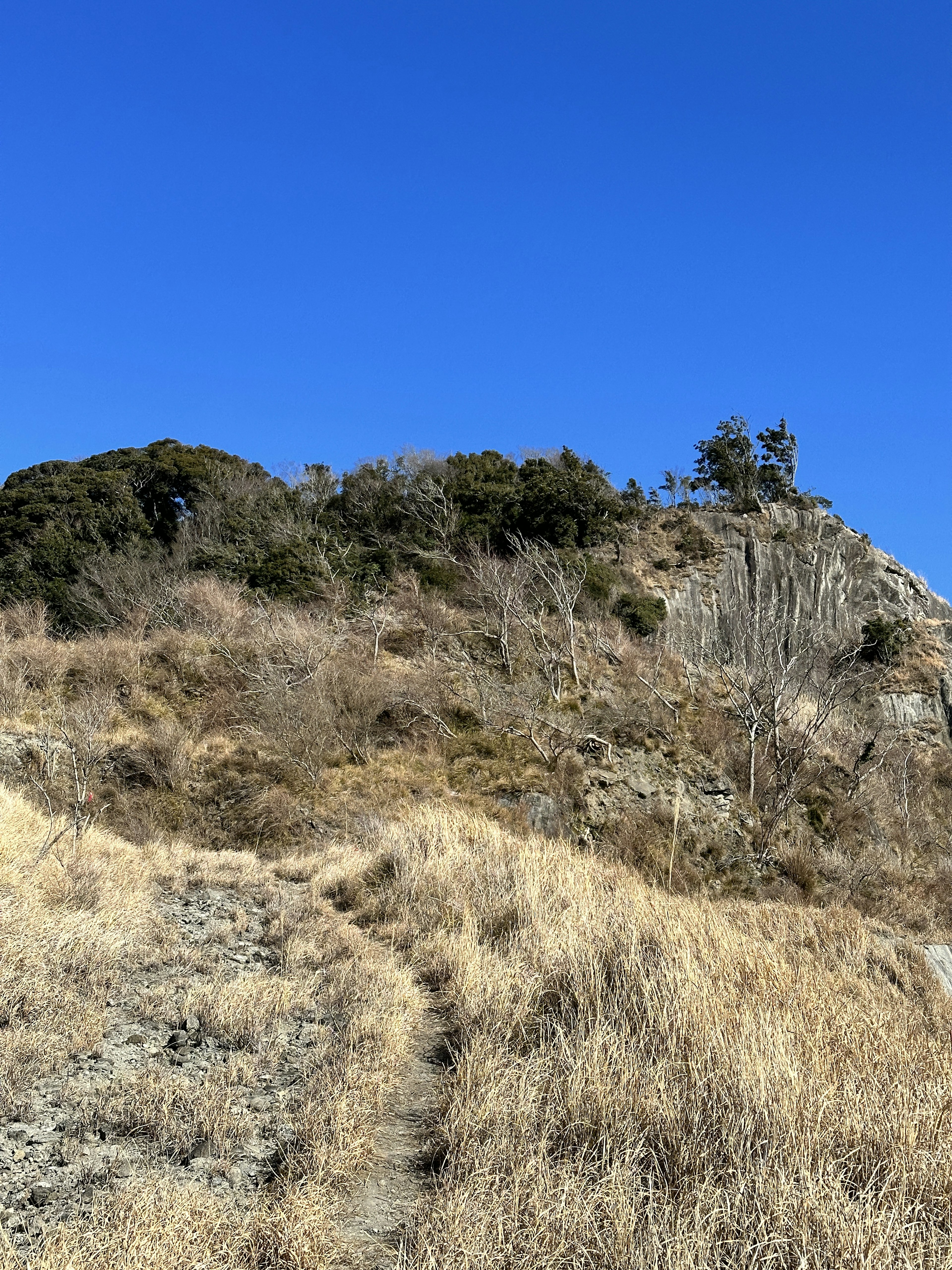 青空の下の乾燥した草原と山の風景