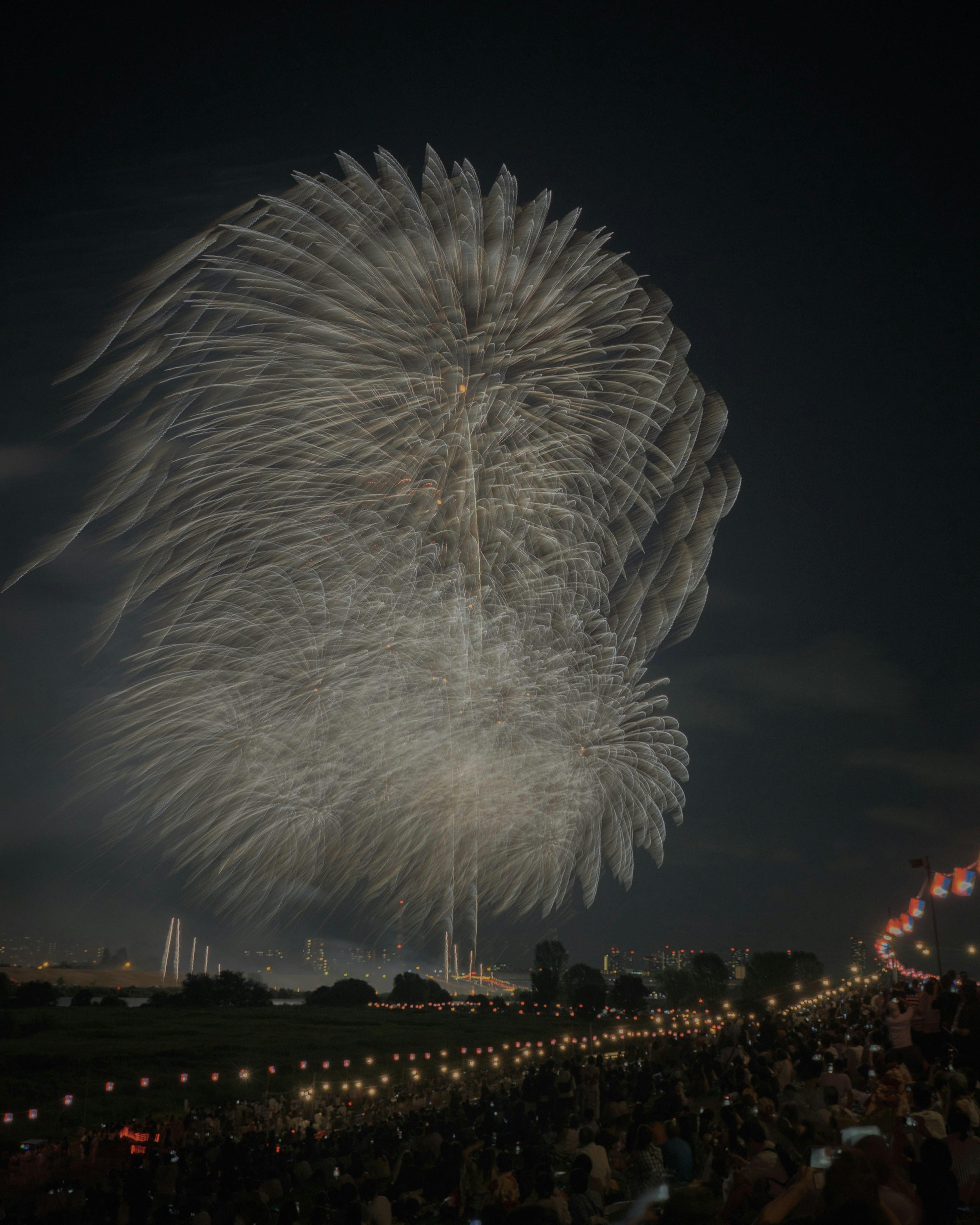 Spettacolari fuochi d'artificio che esplodono nel cielo notturno sopra una folla