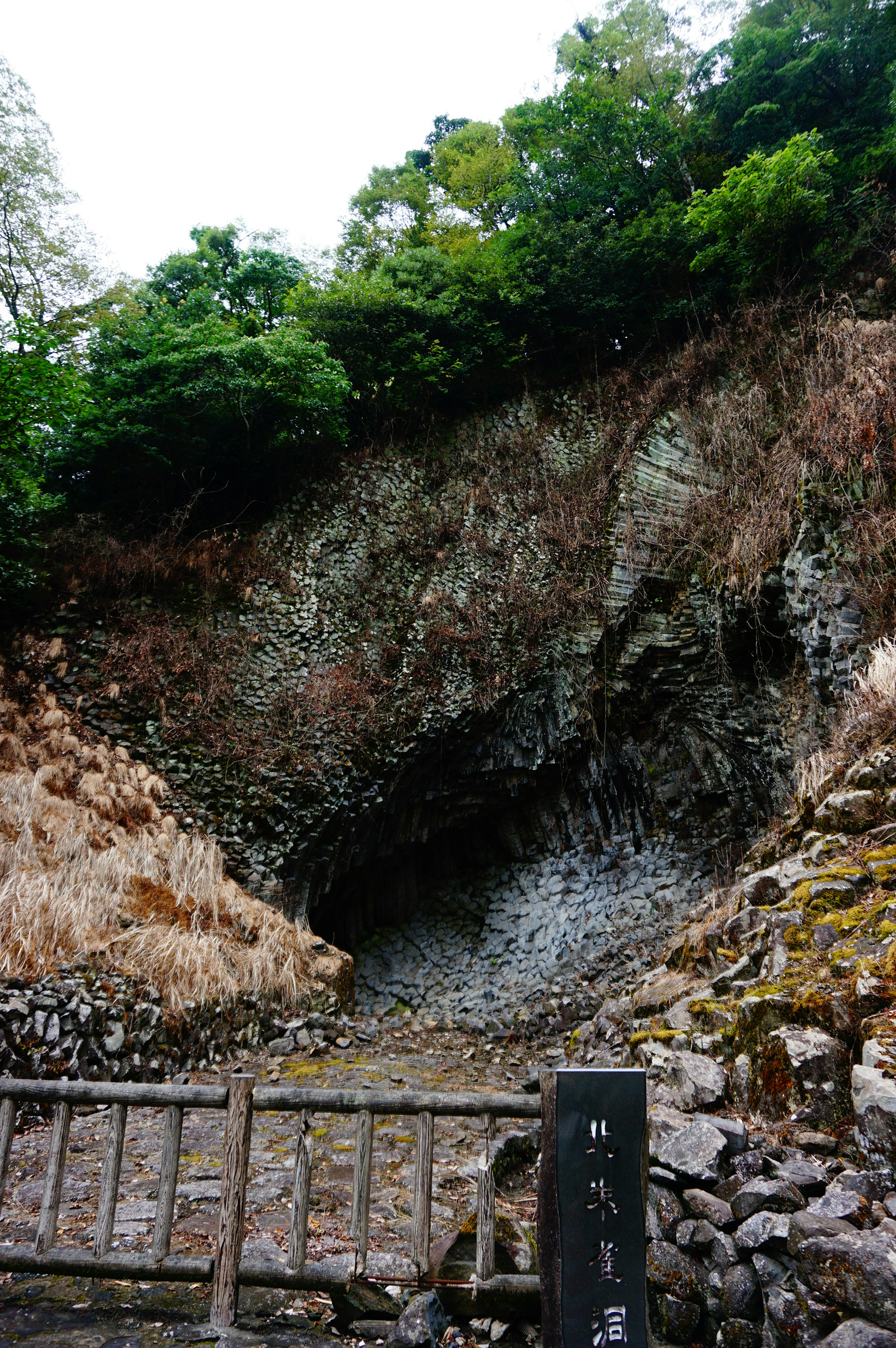 Formazione rocciosa naturale con fogliame verde