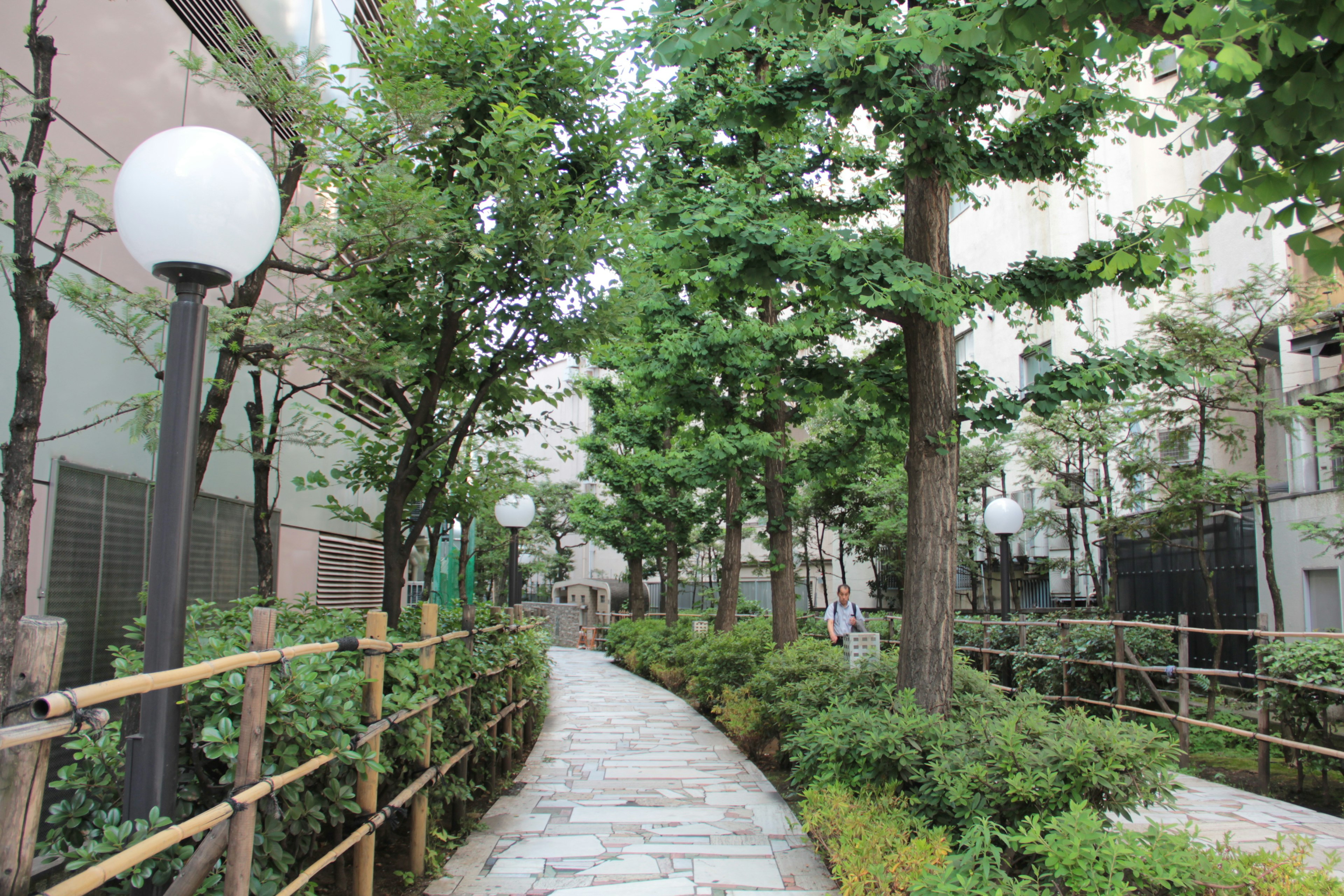 A serene walkway surrounded by greenery and street lamps