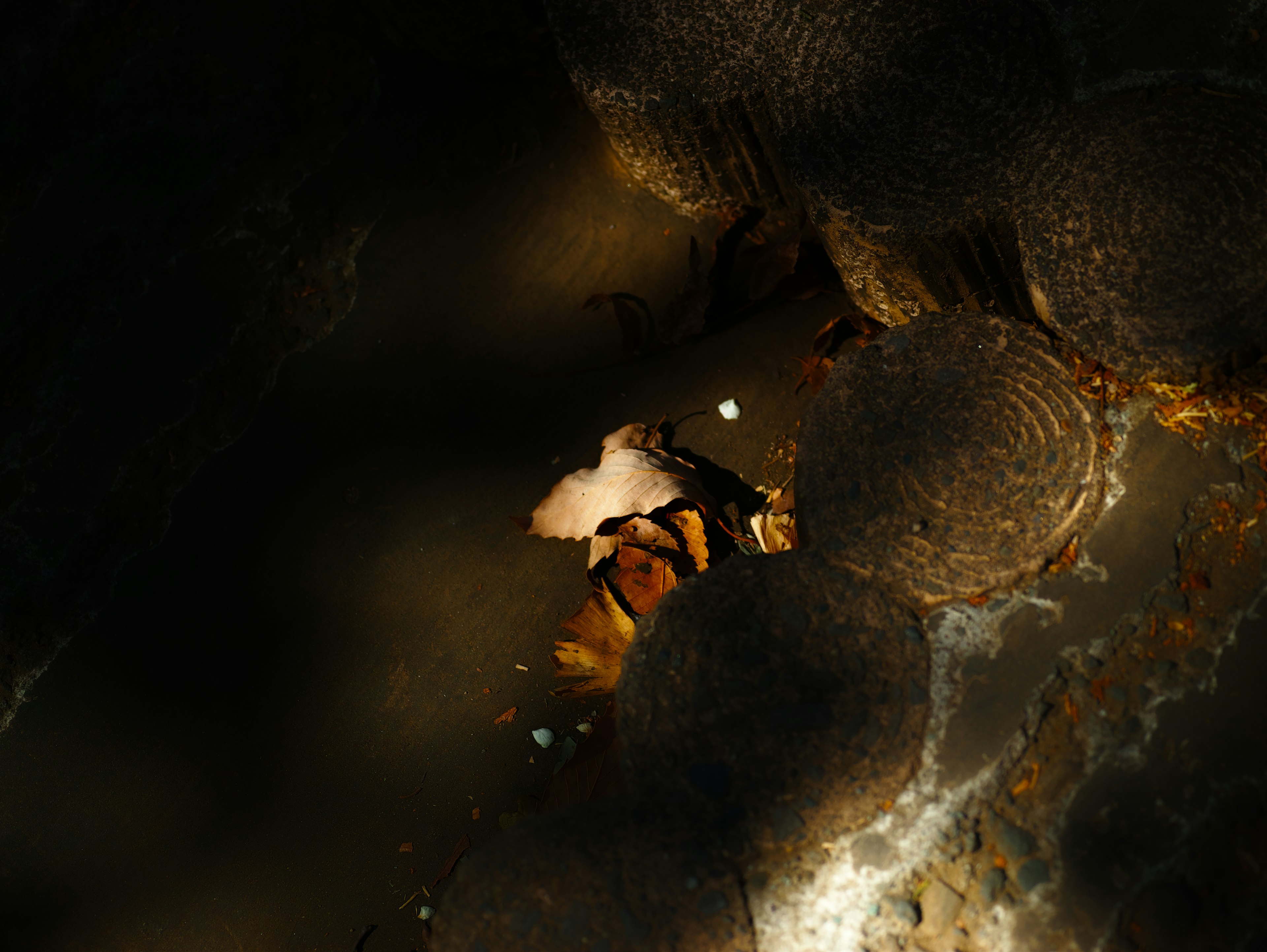 A person sitting on stones with leaves floating on the water surface