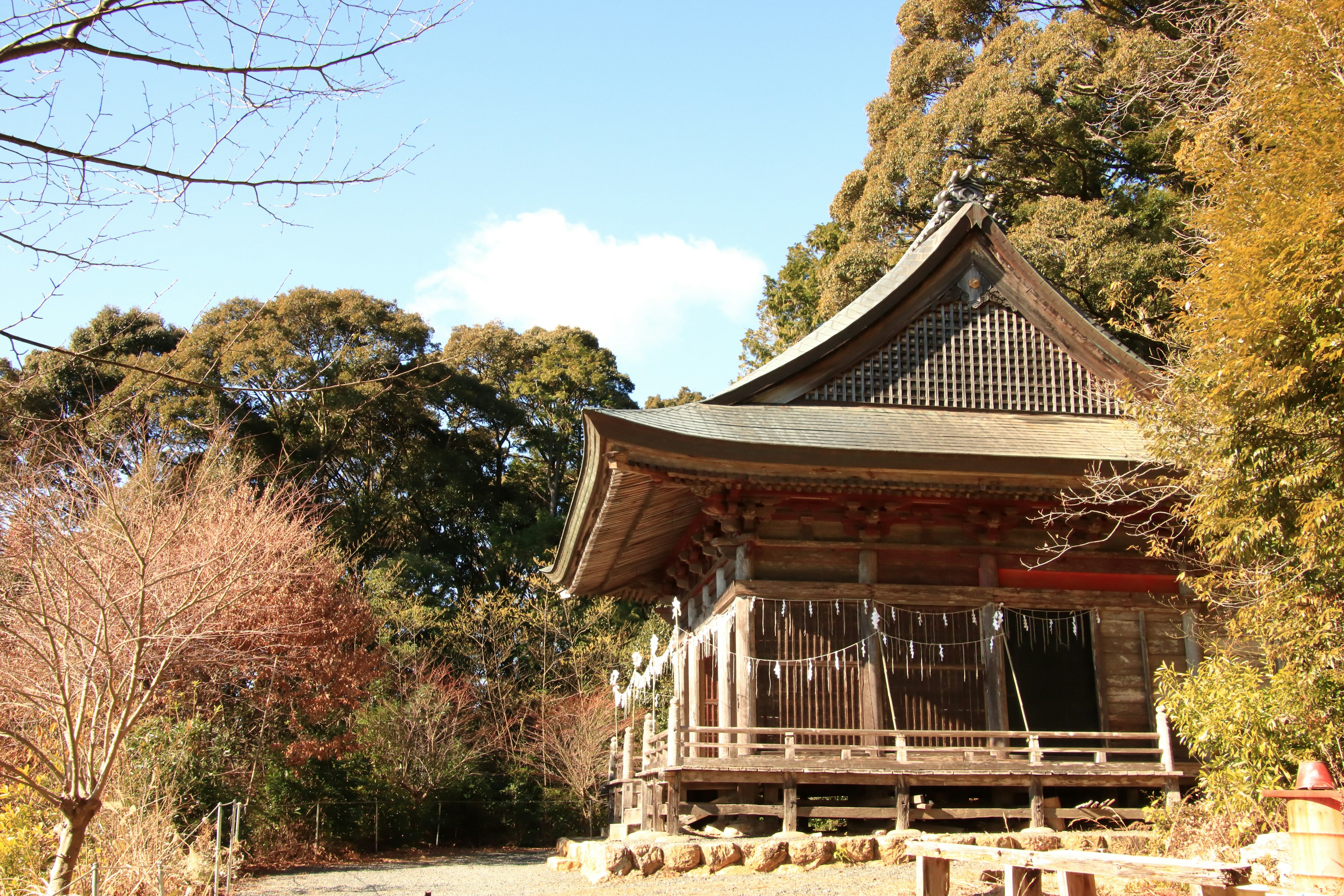 美しい神社の建物が木々に囲まれている