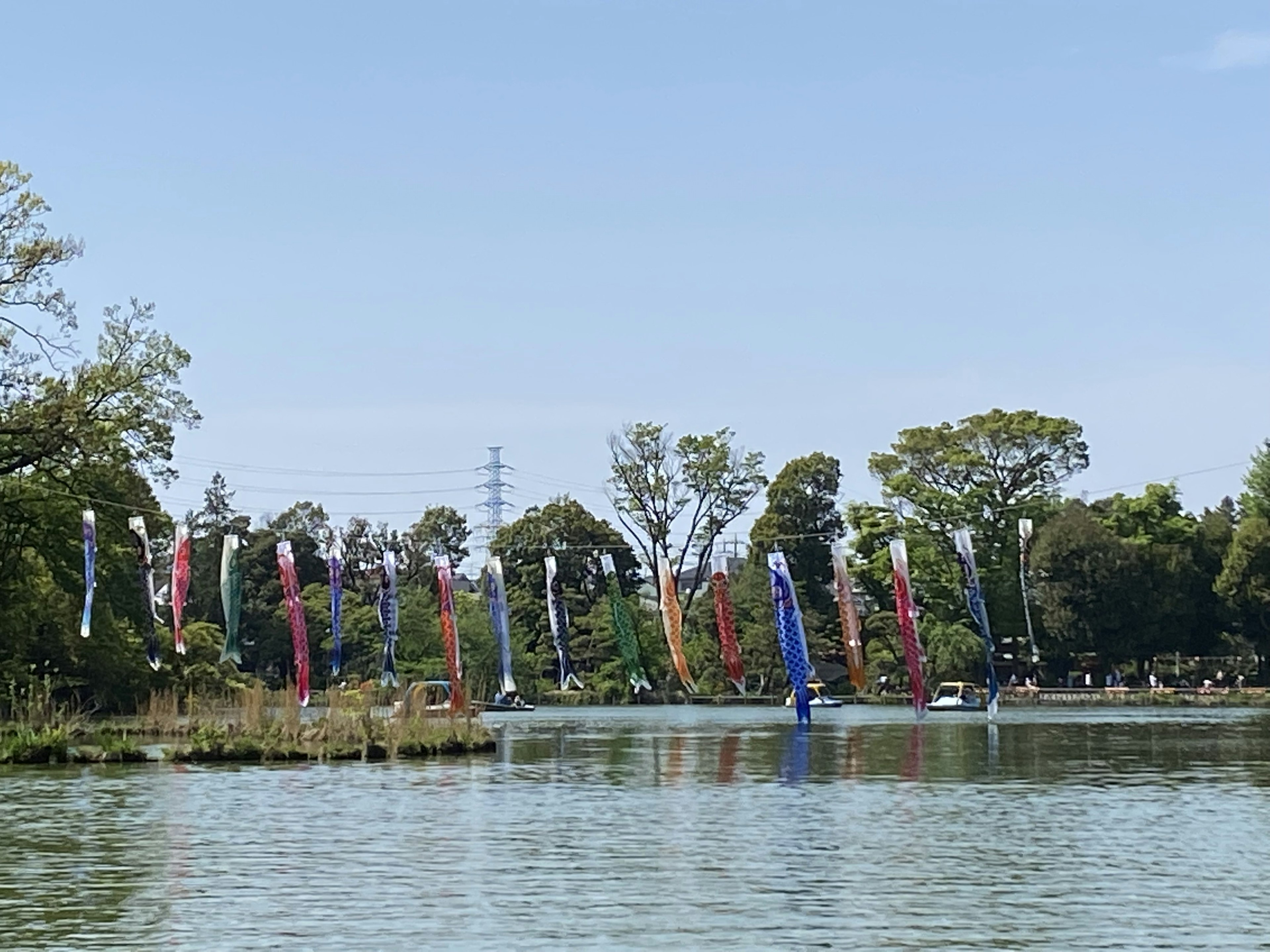 Colorful flags lined up near a lake with green trees