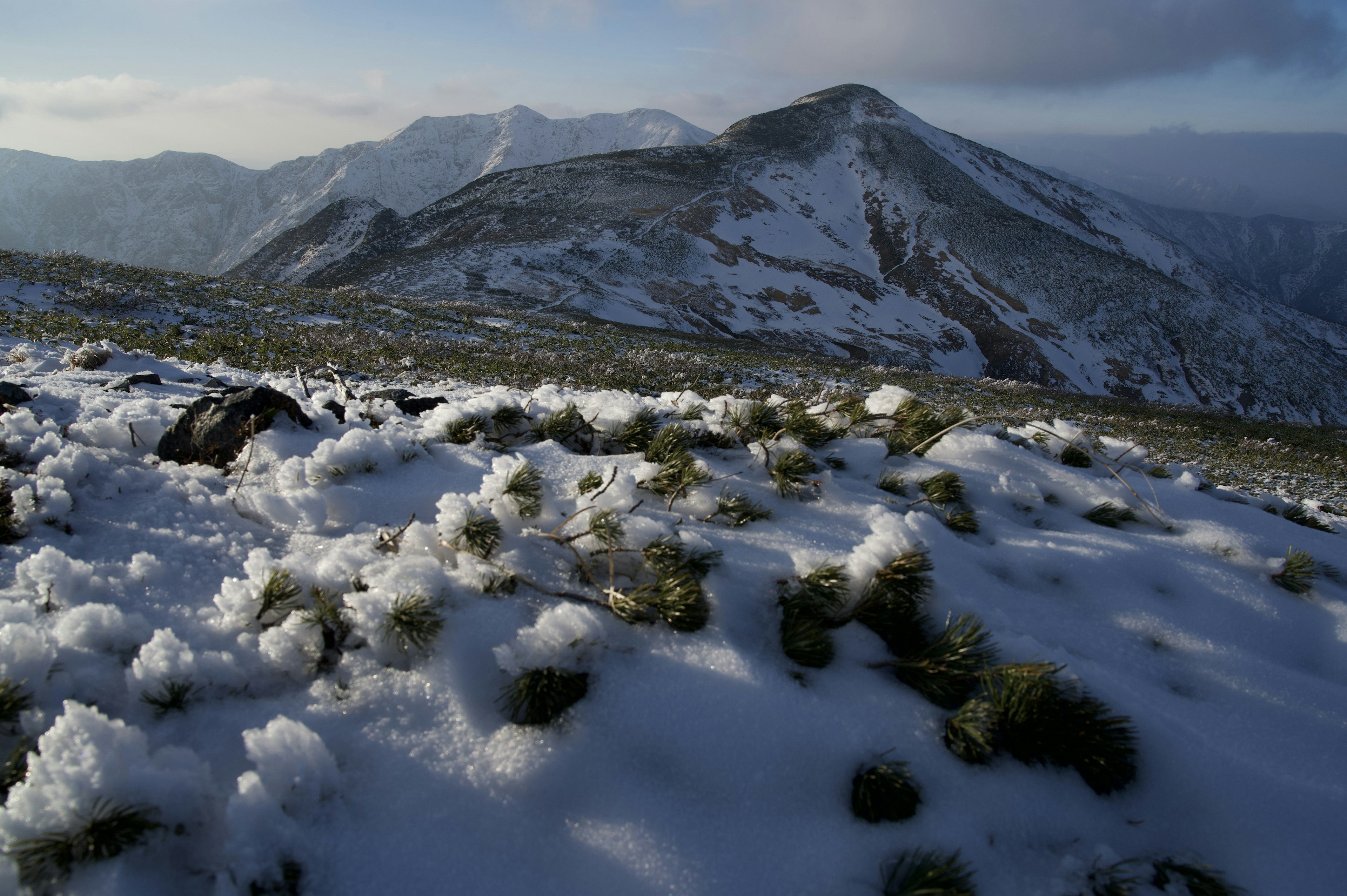 雪に覆われた山と草原の風景