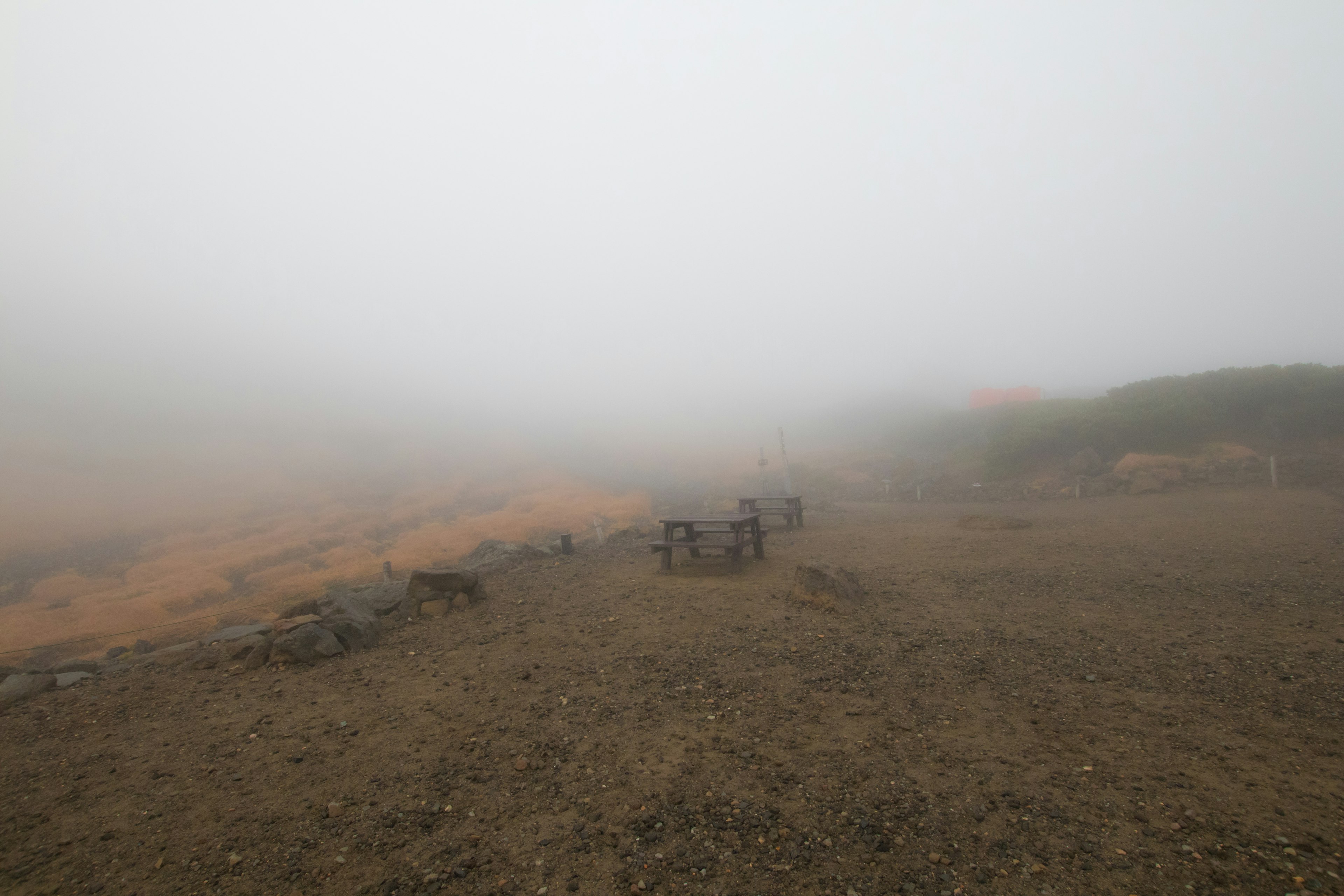 Paesaggio nebbioso con texture del suolo sfocata e prati lontani