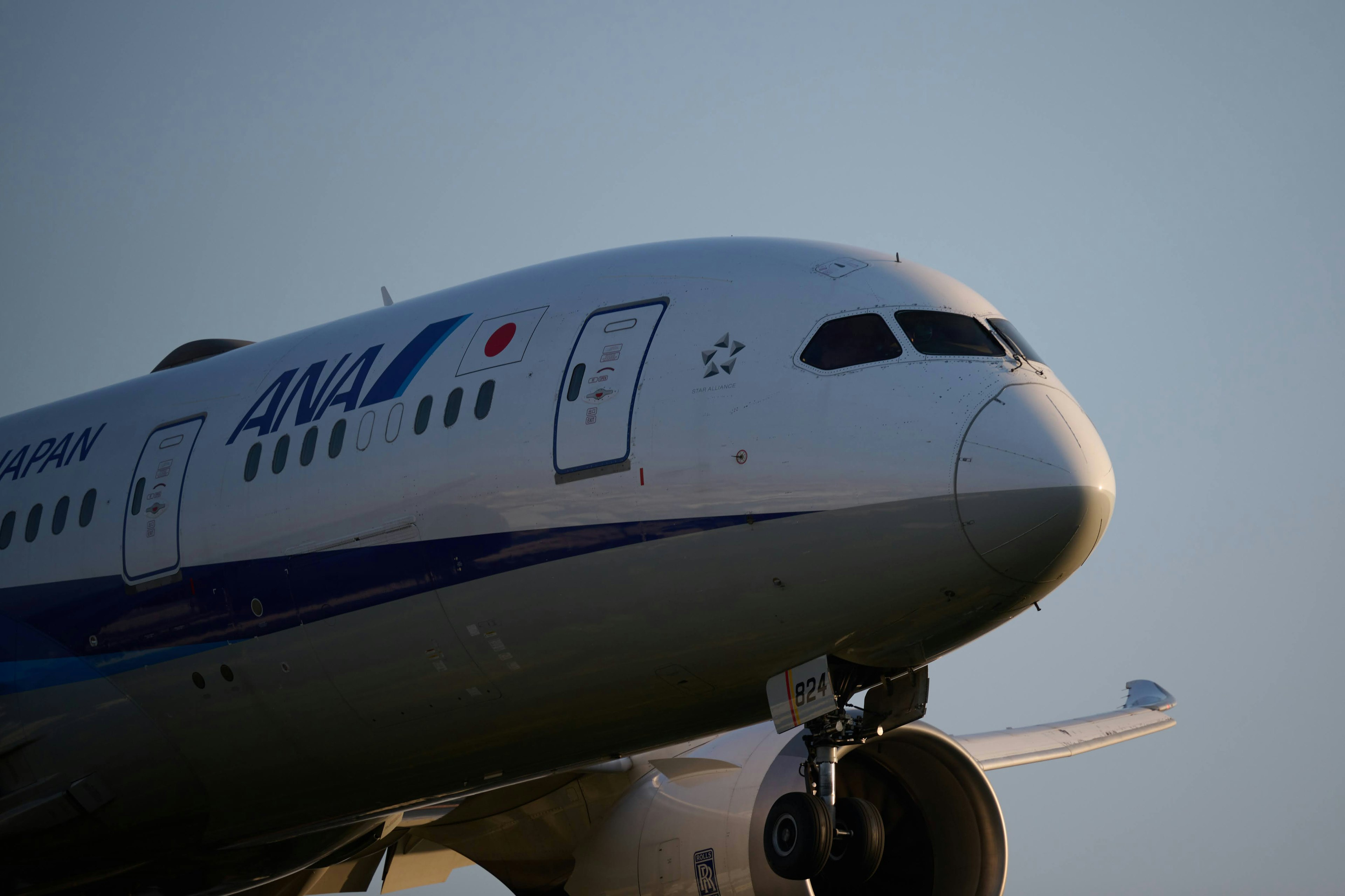 Primo piano del muso di un Boeing 787 di ANA illuminato dal tramonto