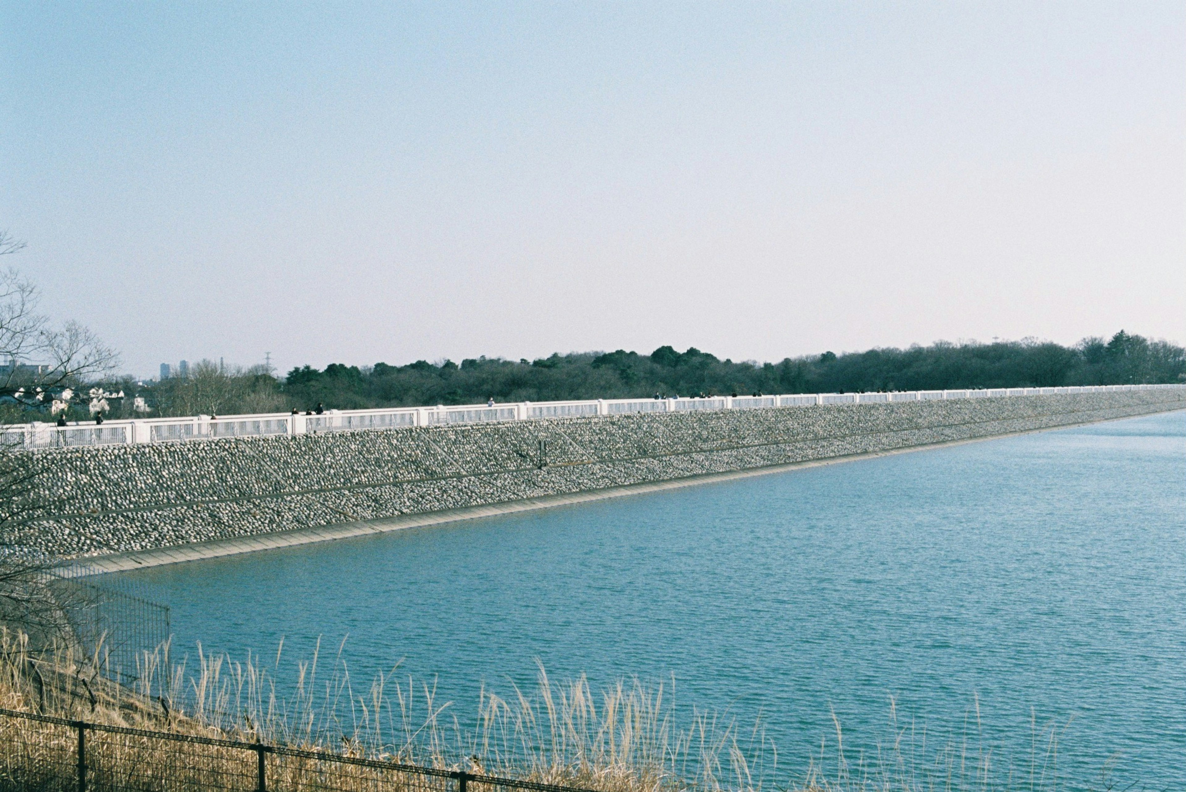 青い水面の堤防と草が見える風景