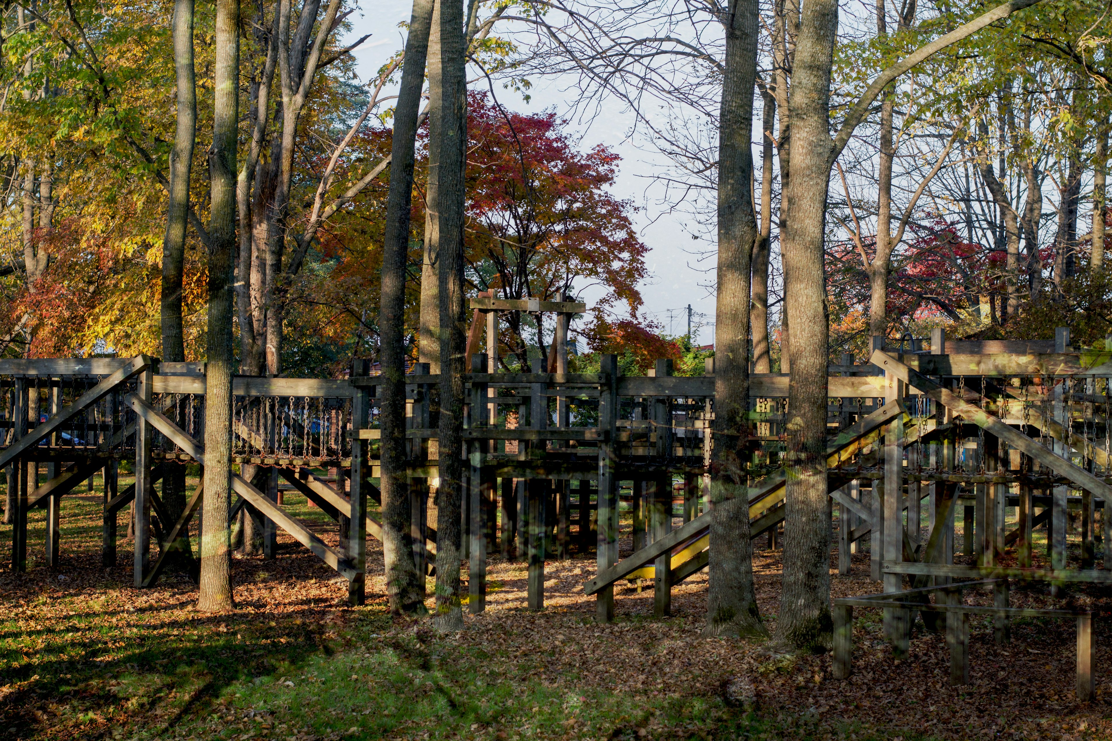 Estructura de parque infantil entre árboles con colores de otoño