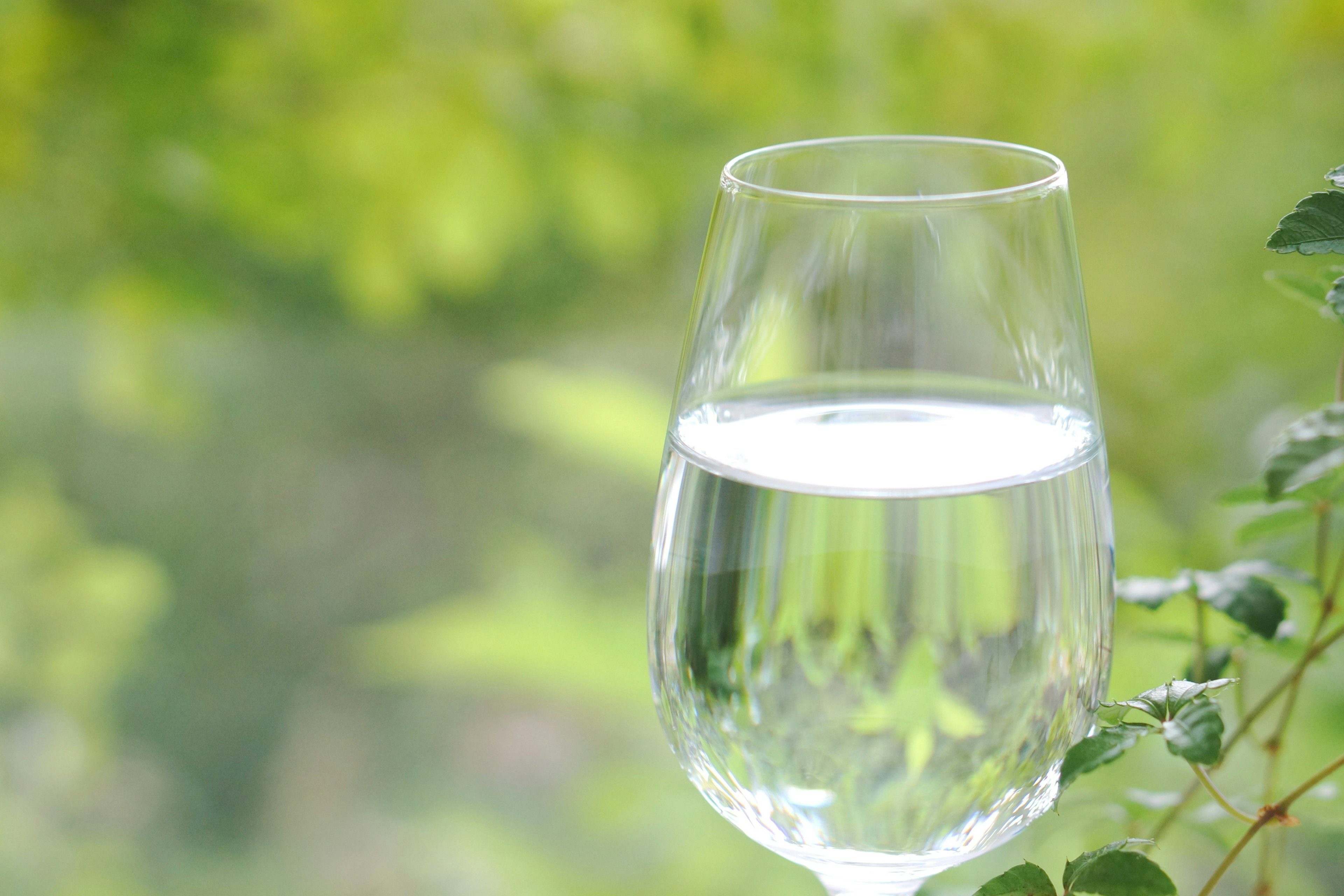 Un bicchiere trasparente d'acqua con uno sfondo verde sfocato