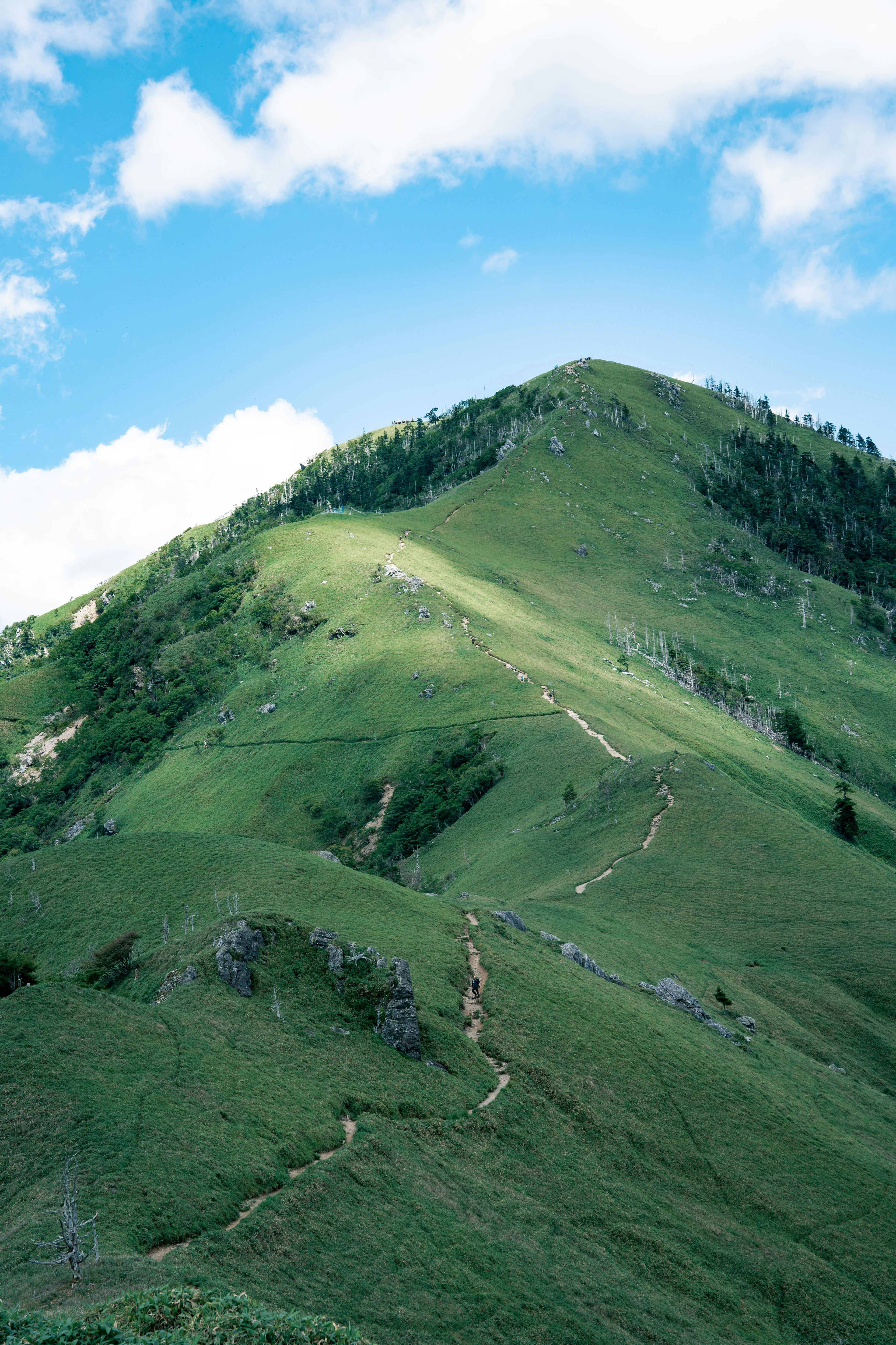 Grüne Hügel mit blauem Himmel und sichtbaren Wegen am Hang