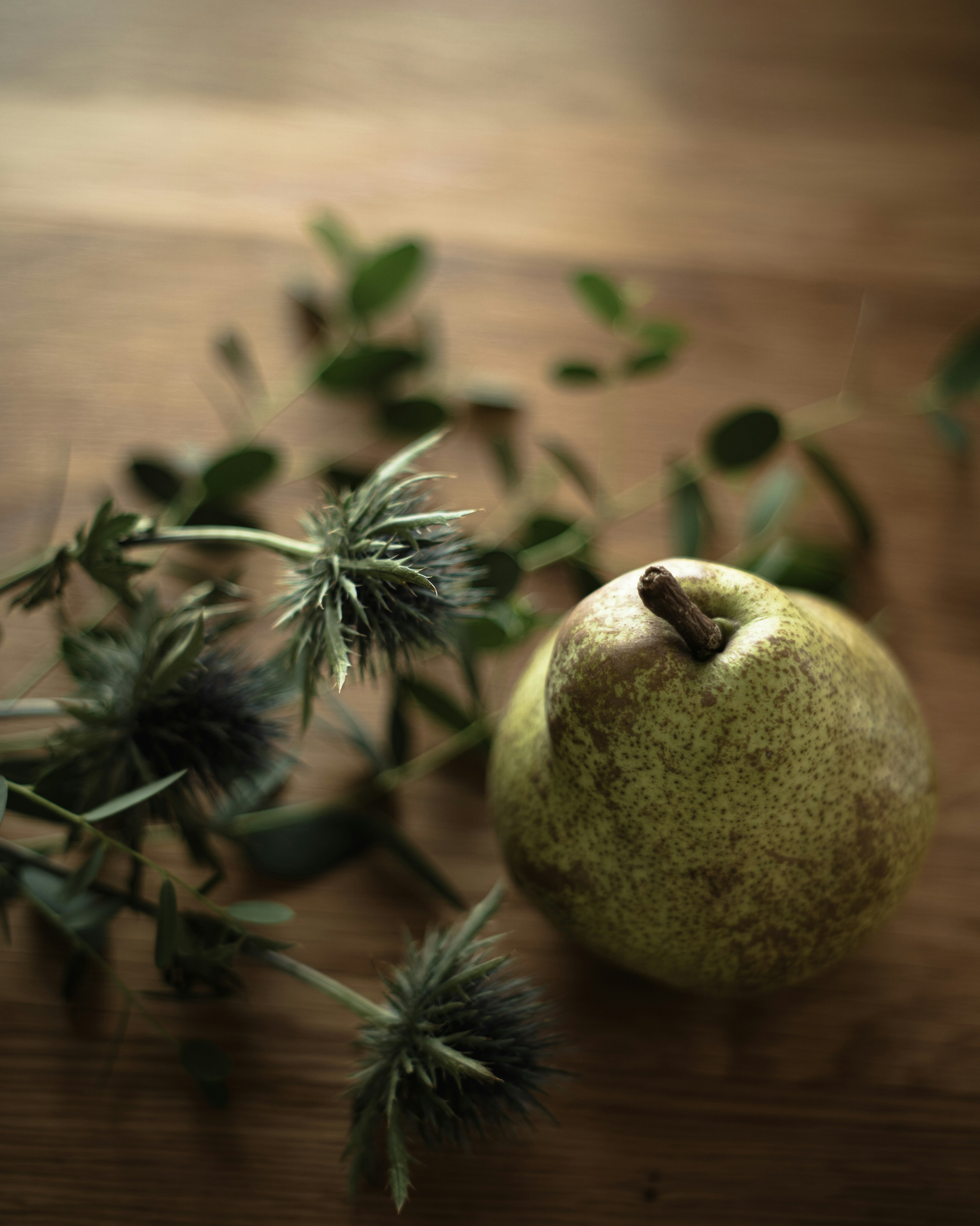 Poire verte et branches de chardon sur une table en bois