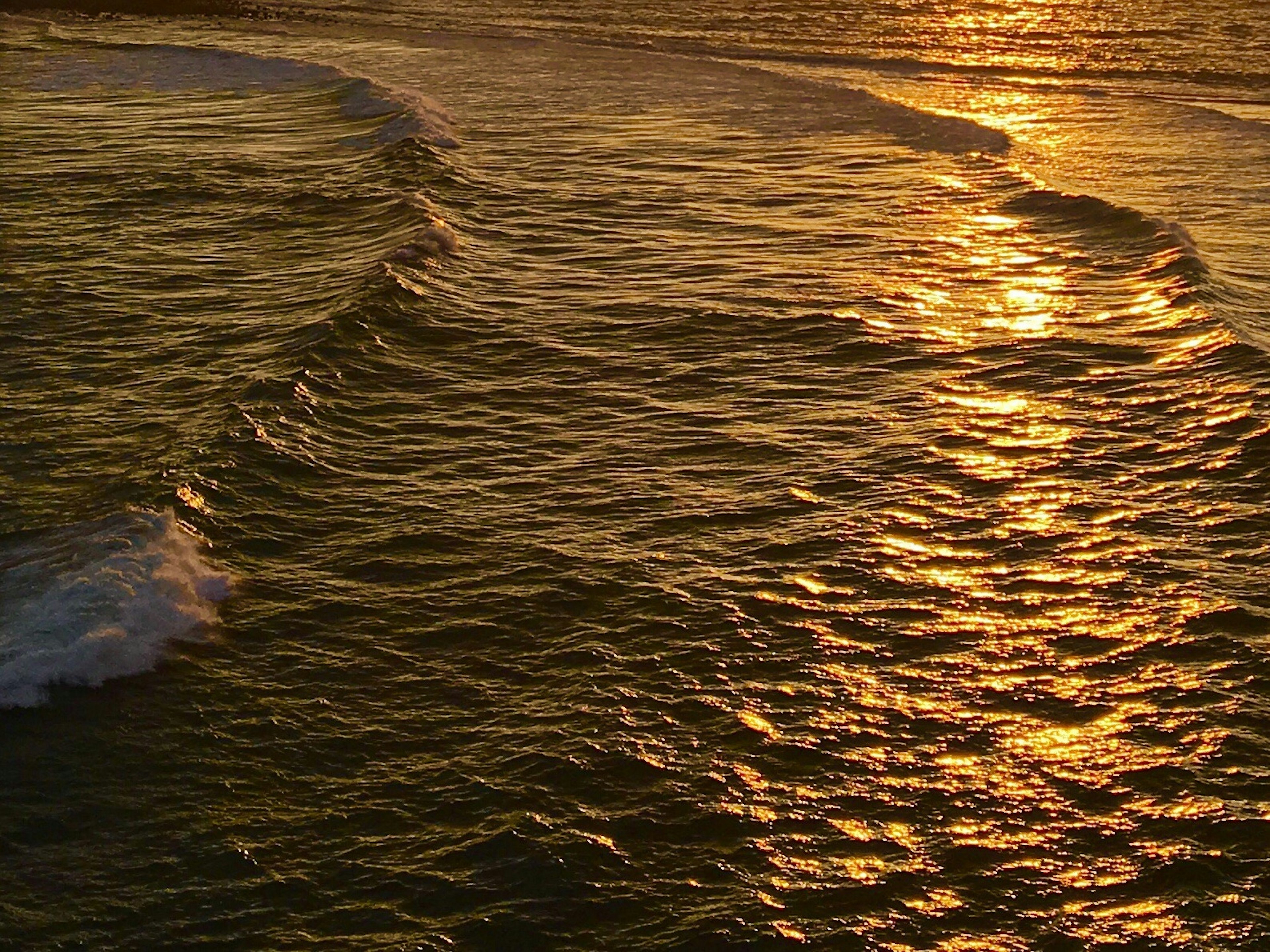 夕日が照らす海の波の美しい様子