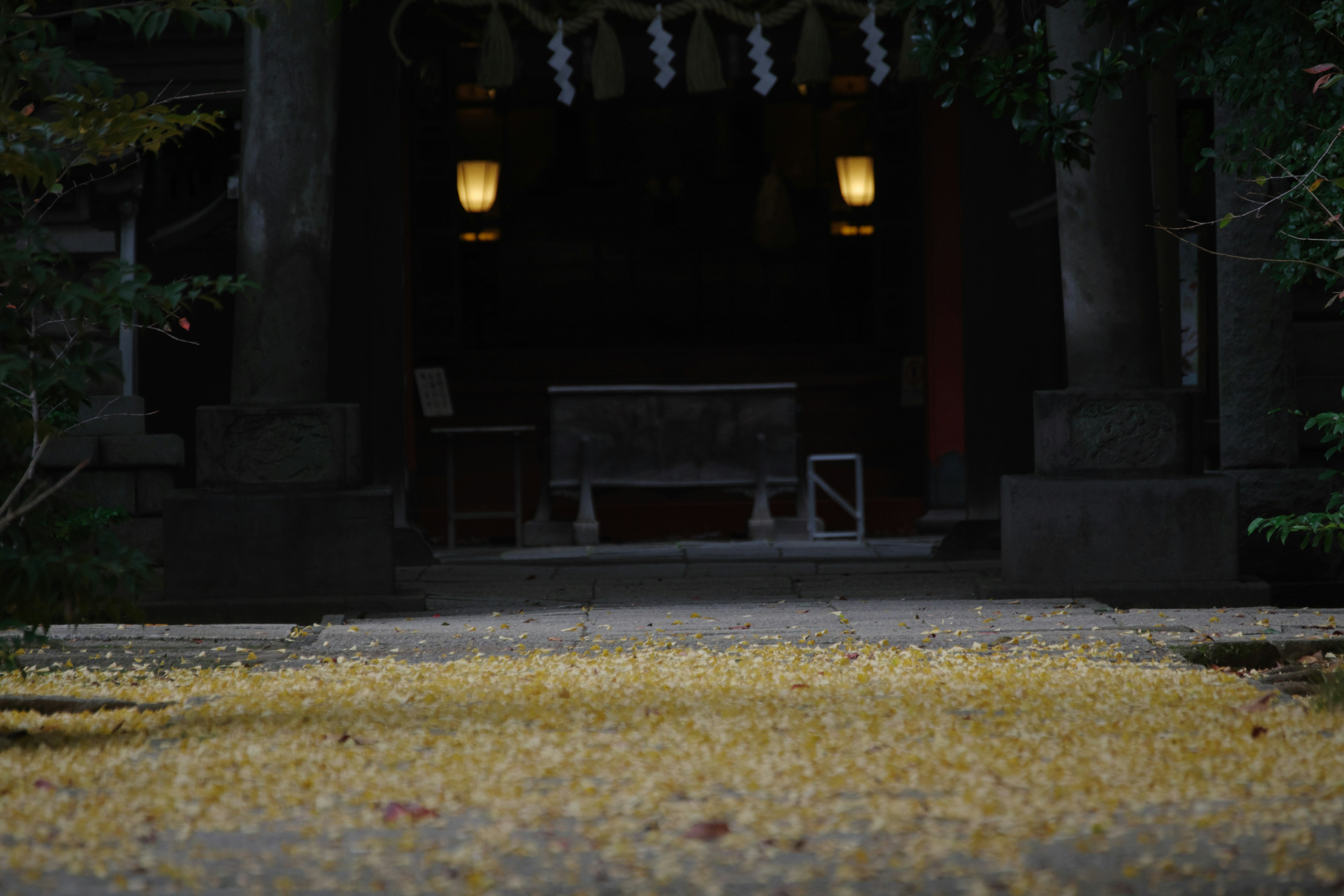 Hojas amarillas de ginkgo esparcidas en la entrada de un santuario con un fondo oscuro