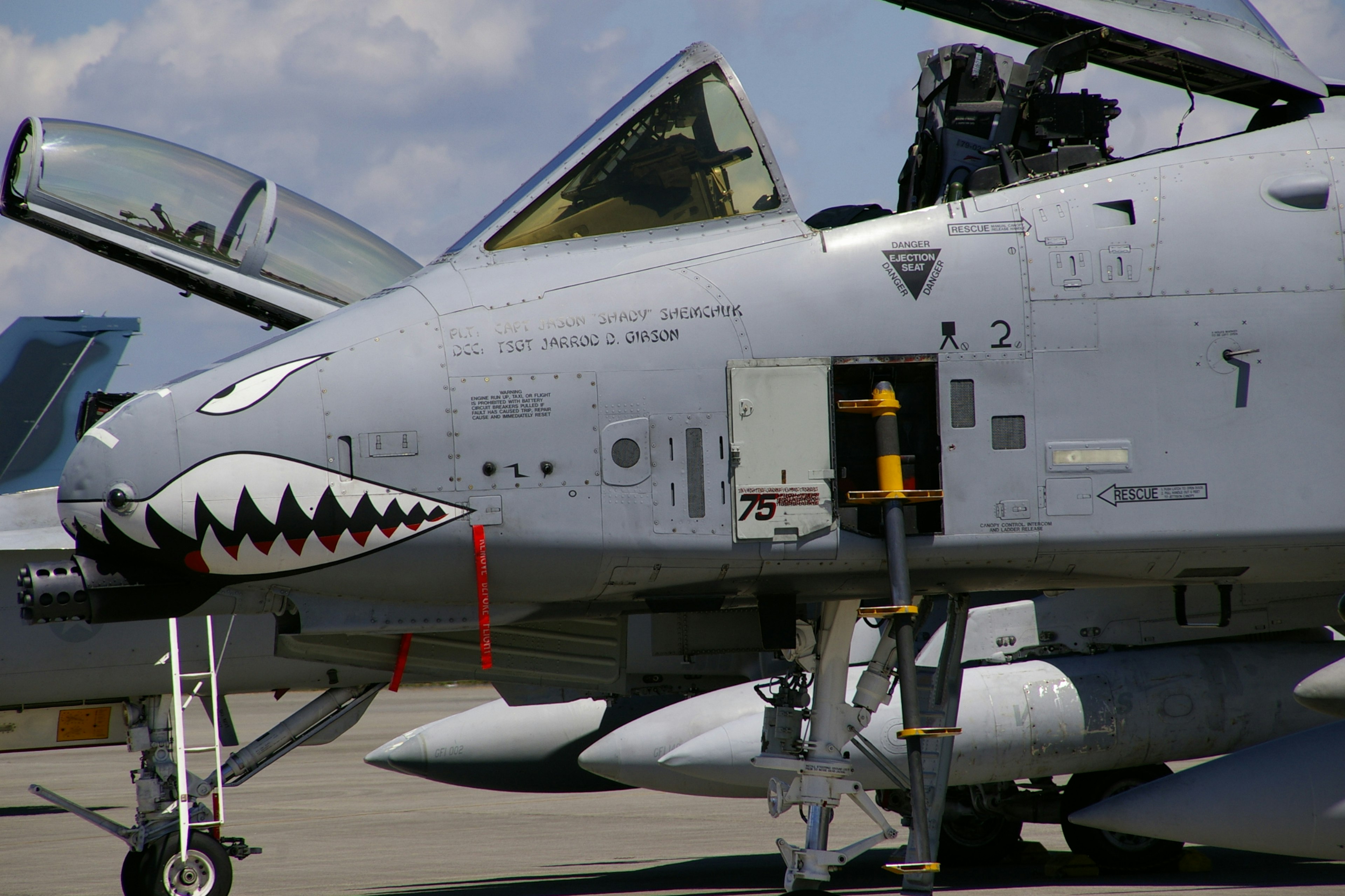 A-10 Thunderbolt II with shark mouth nose art and missile attachments