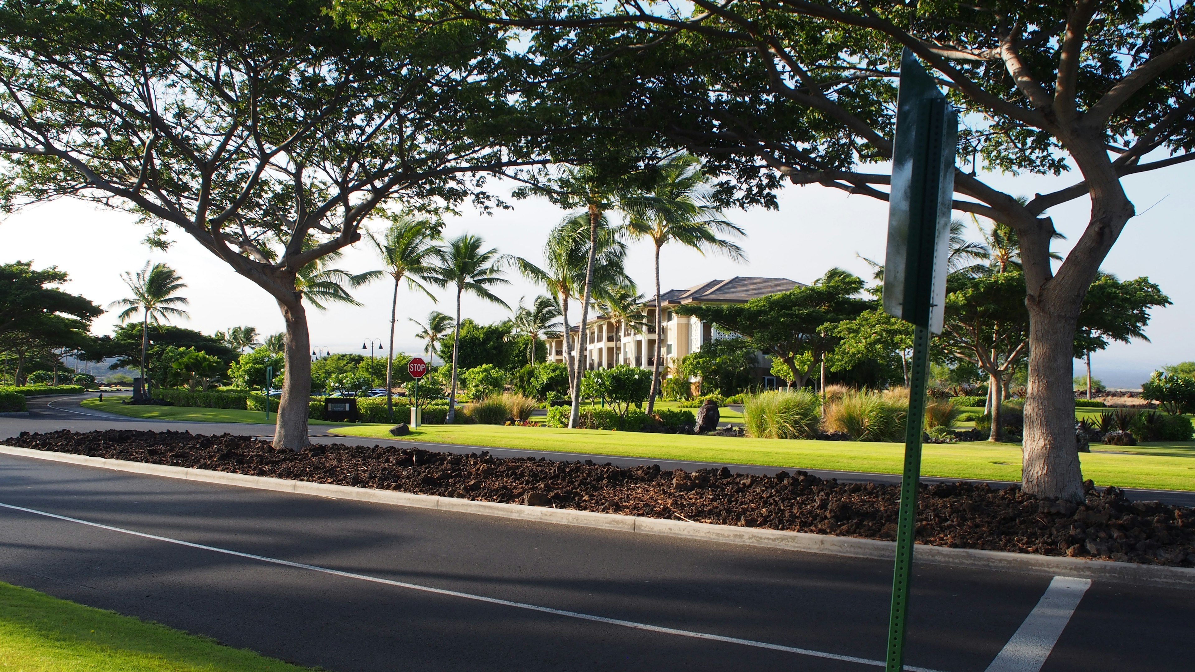 Scenic view of a house surrounded by lush greenery and palm trees