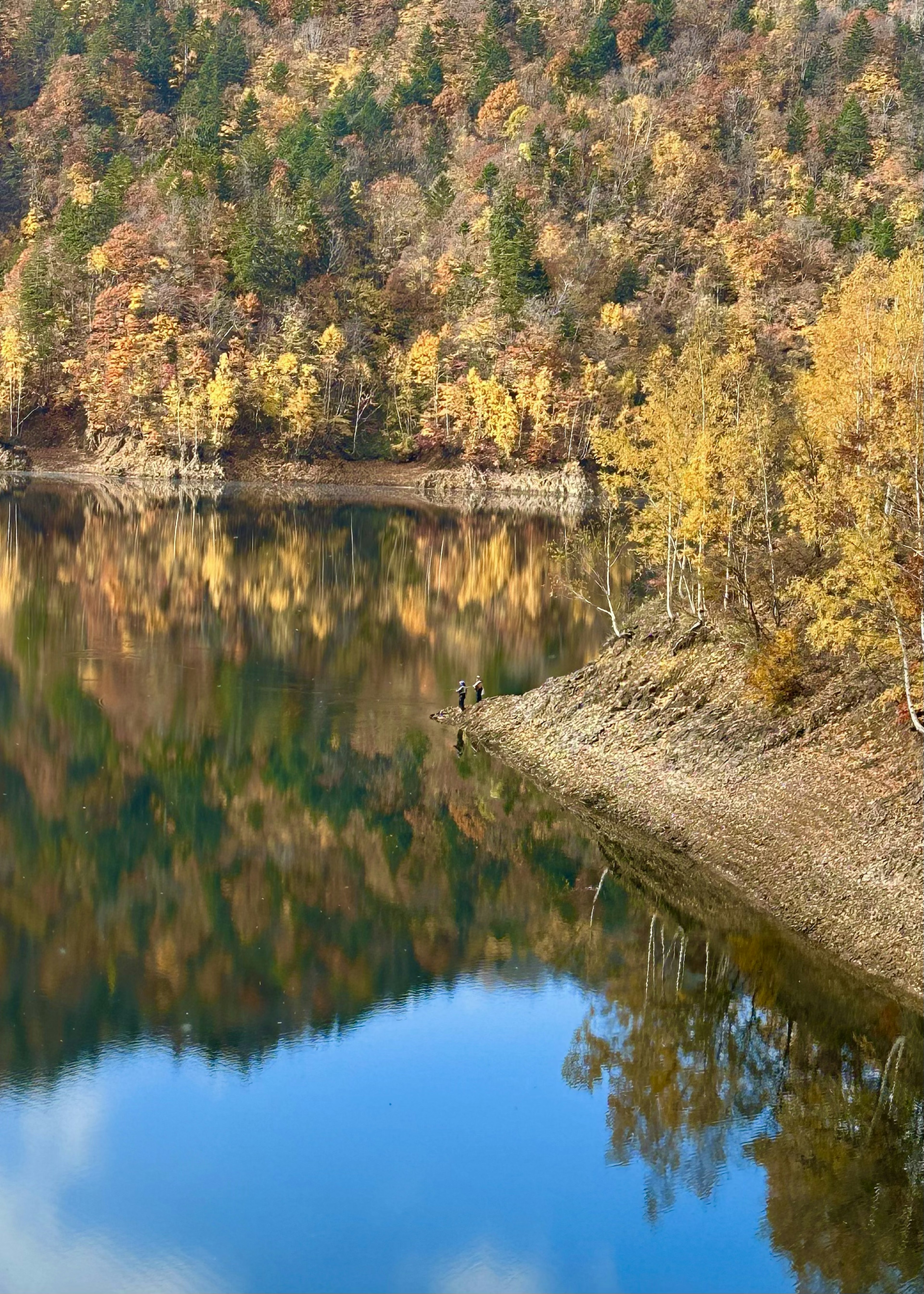 Malersches Herbstlandschaft mit Seeufer und bunten Baumreflexionen