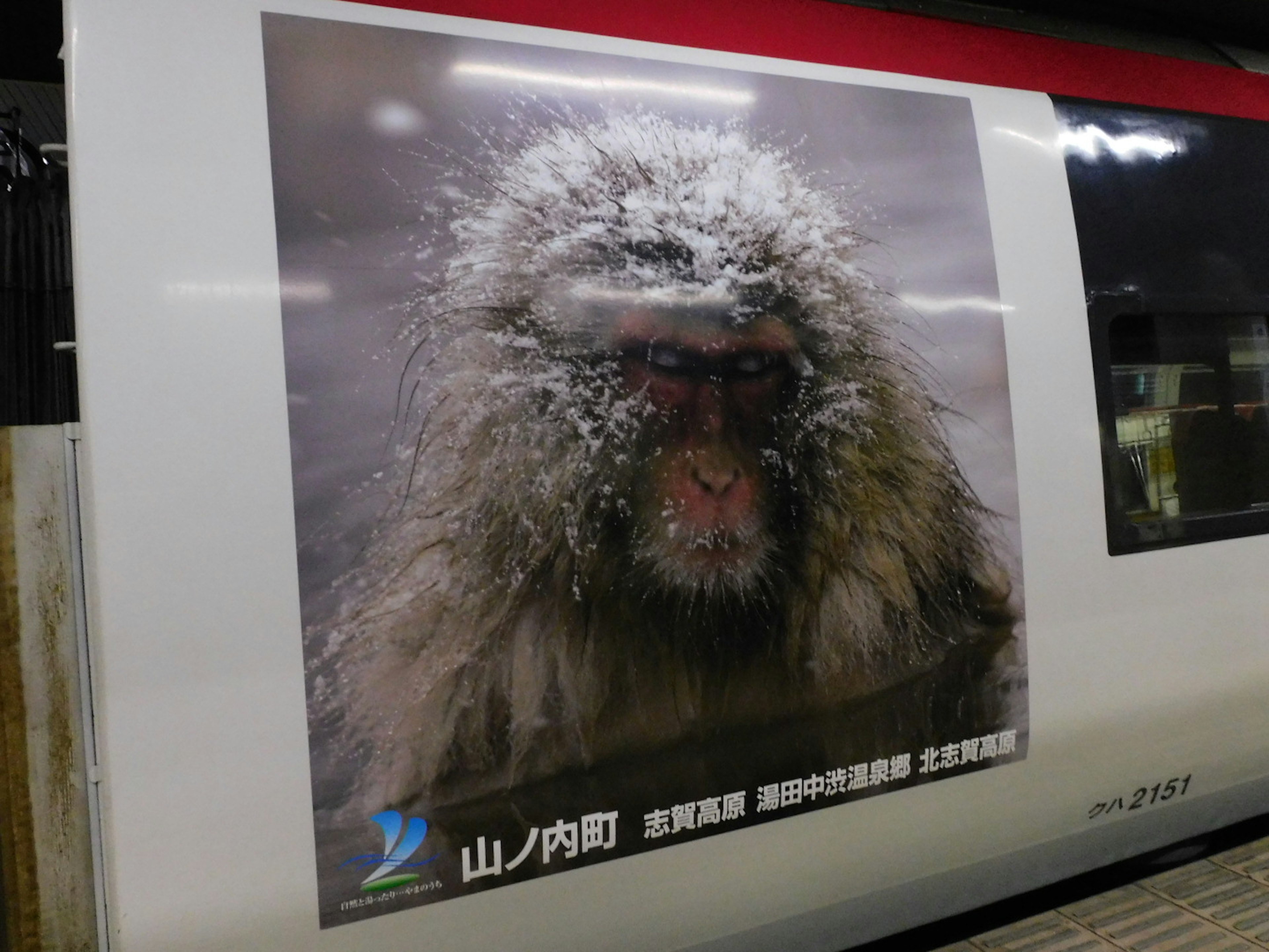 雪に覆われた猿の顔のアップ写真 駅の広告