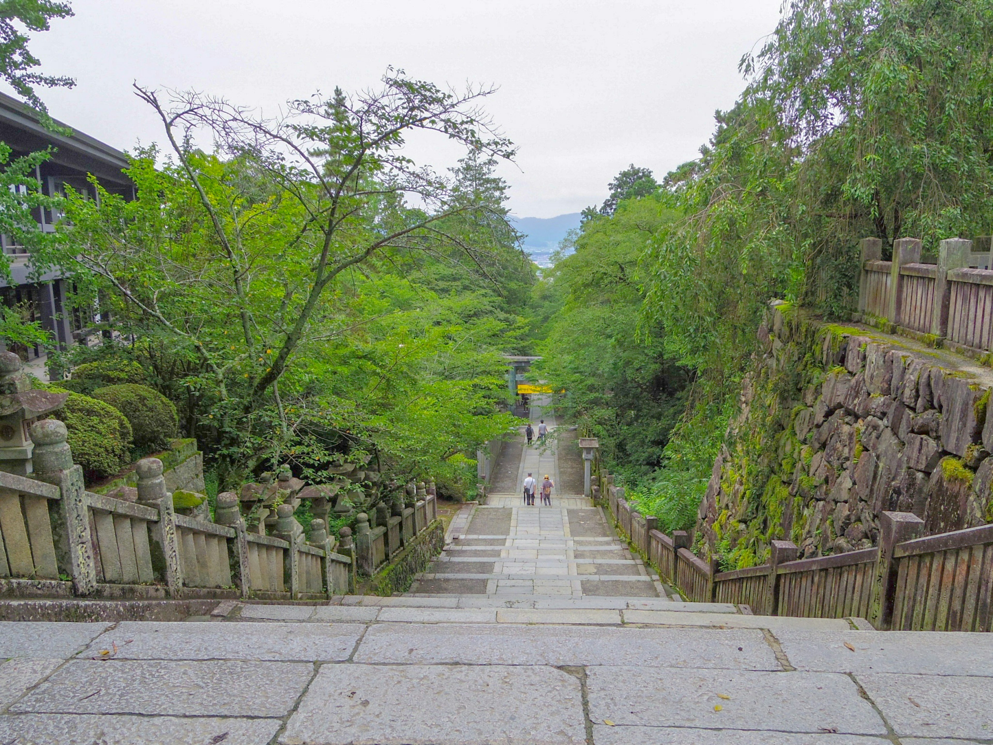 Scenic view of stone steps surrounded by lush greenery