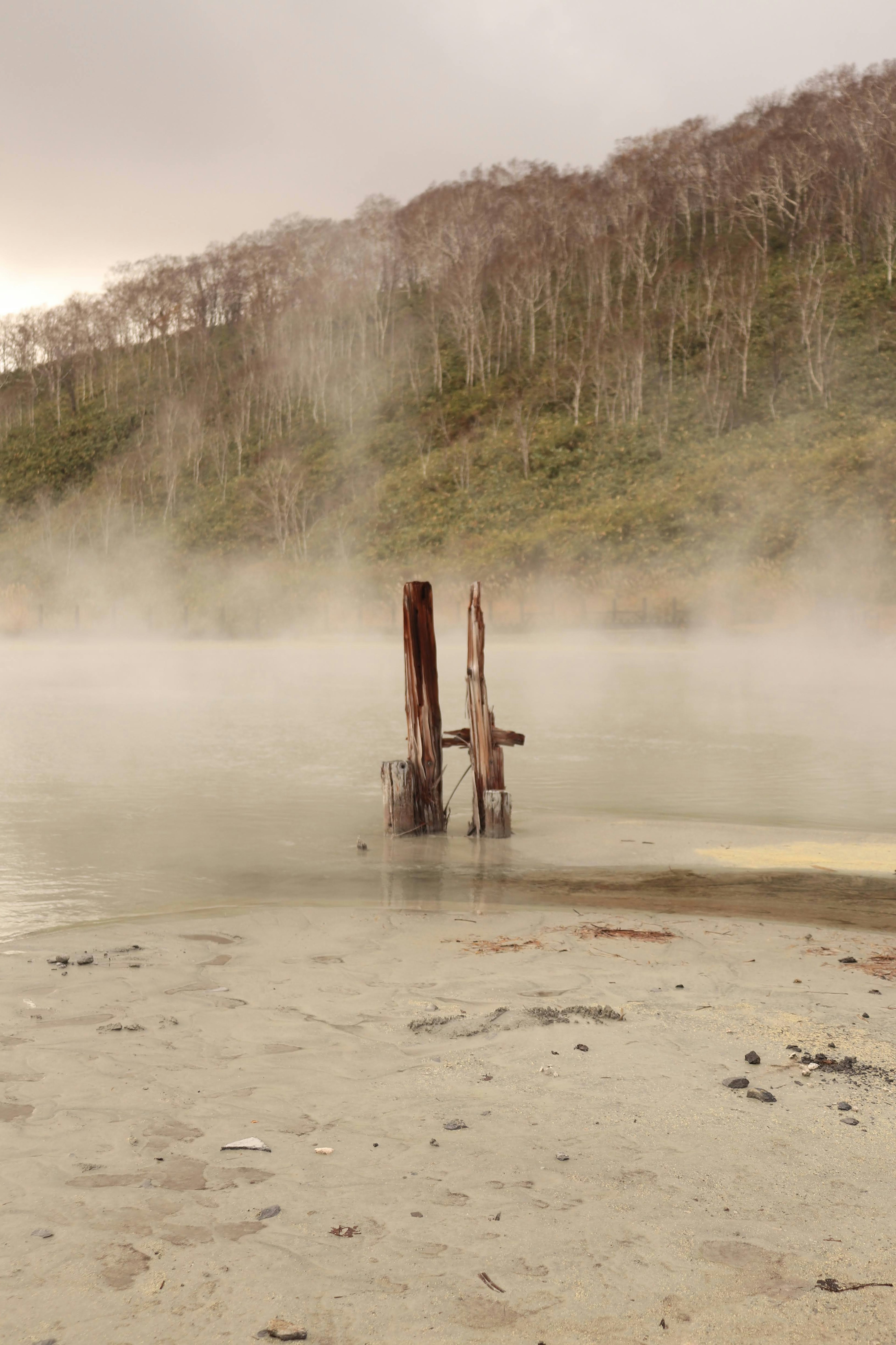 Nebeliger Landschaft mit einer Holzstruktur im Wasser